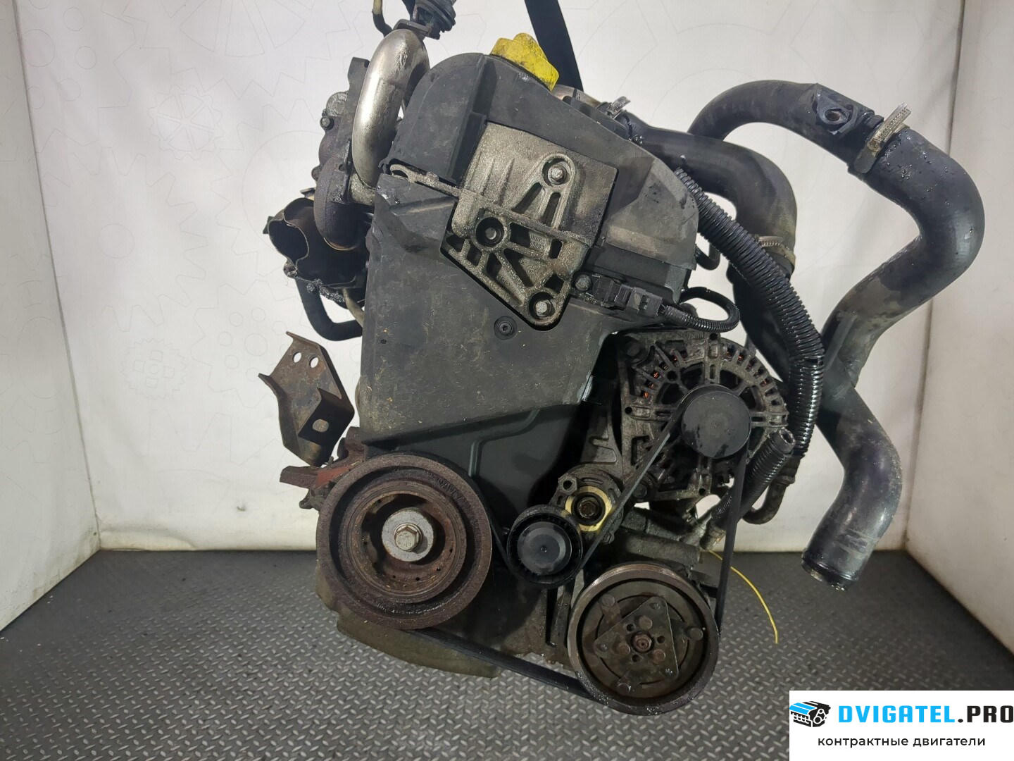 Двигатель Nissan Note E11 2006 - 2013 K9K 1.5 л., Дизель, DCI, артикул 8787562