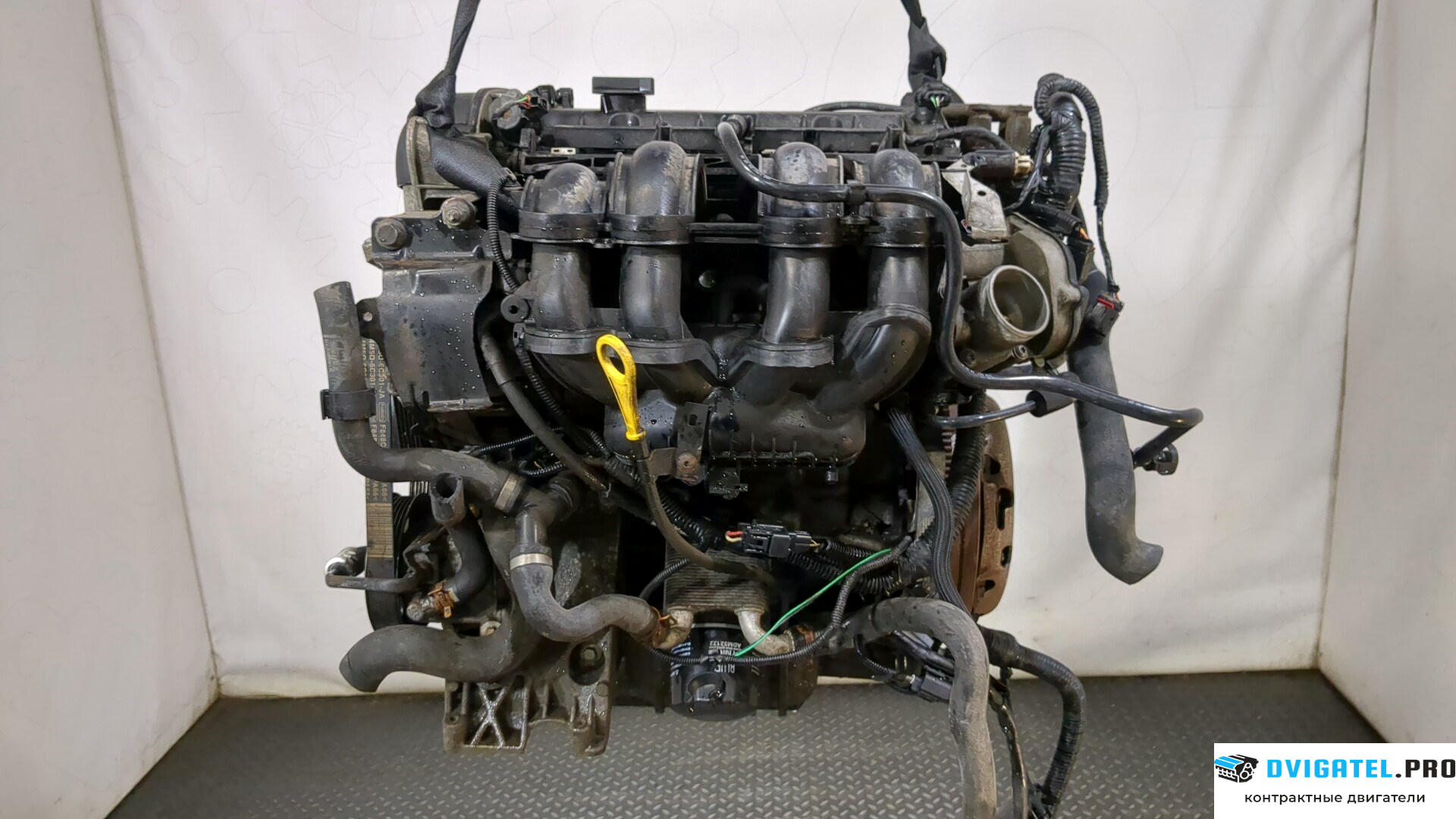Двигатель Ford Focus 2 2005 - 2008 HXDA, HXDB 1.6 л., Бензин, Ti-VCT, артикул 9237377