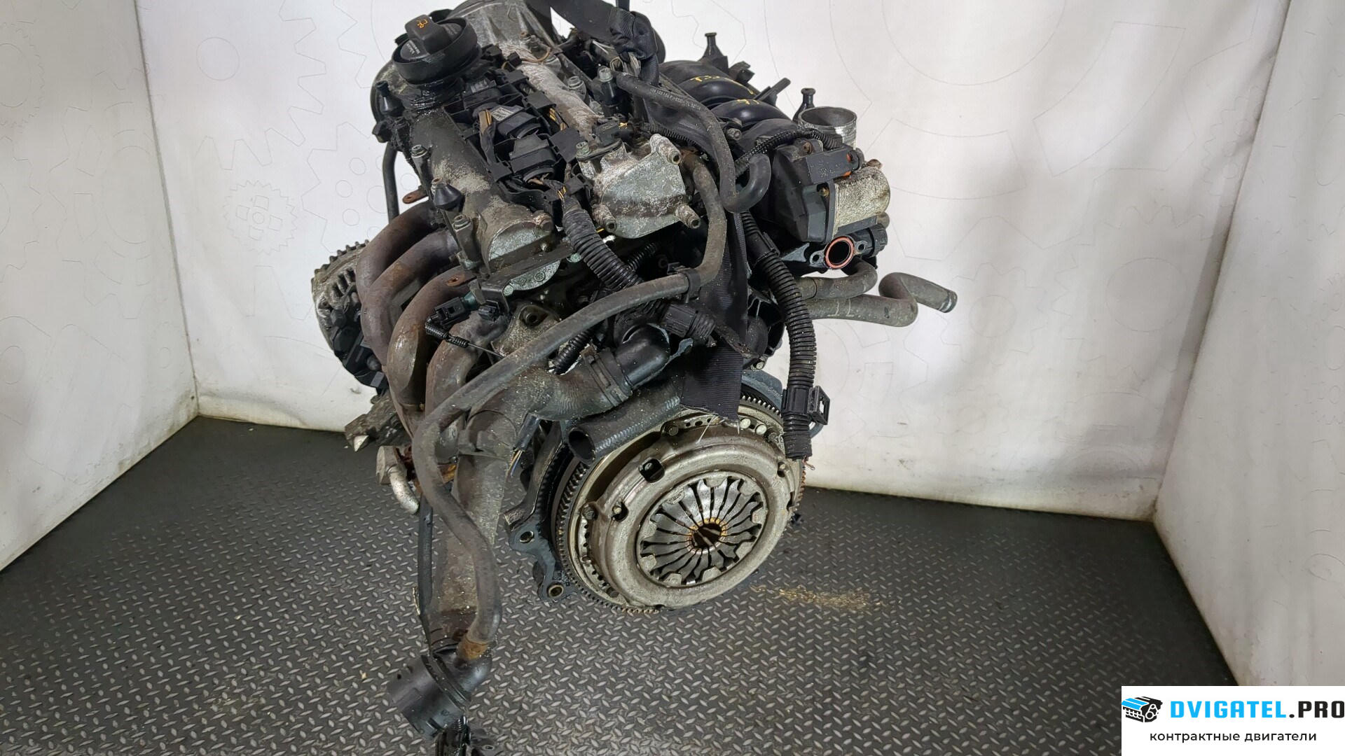 Двигатель Volkswagen Polo 2001 - 2005 BKY 1.4 л., Бензин, Инжектор, артикул 8822356