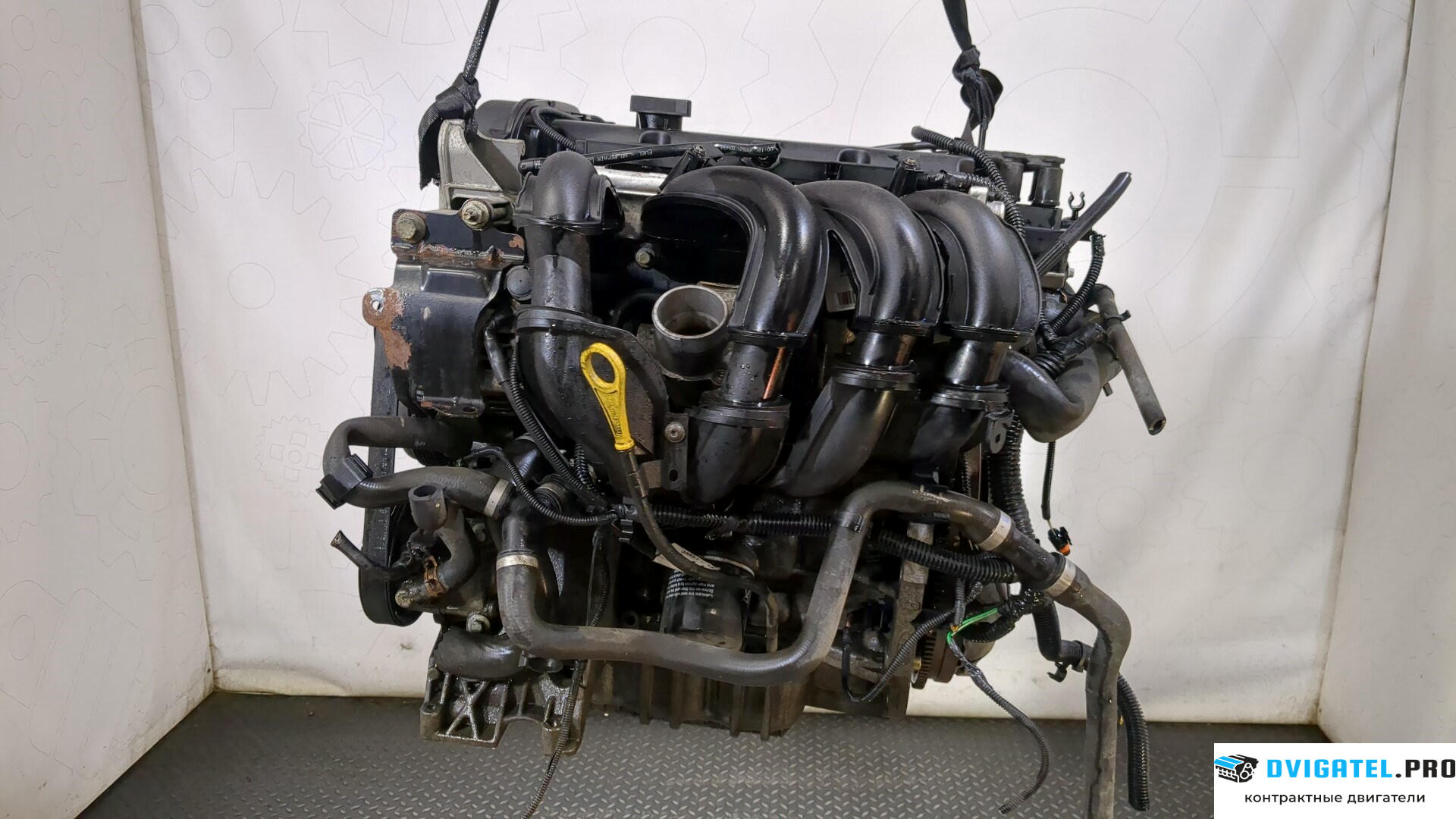 Двигатель Ford Focus 2 2005 - 2008 HWDA, HWDB 1.6 л., Бензин, Инжектор, артикул 9244819
