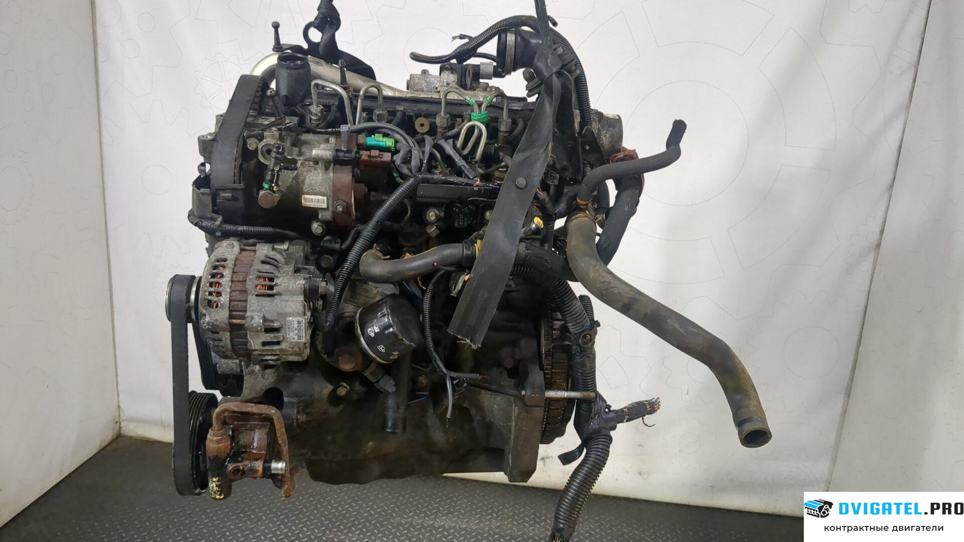 Двигатель Nissan Kubistar K9K704, K9K716, K9K700 1.5 л., Дизель, Турбо, артикул 8976723