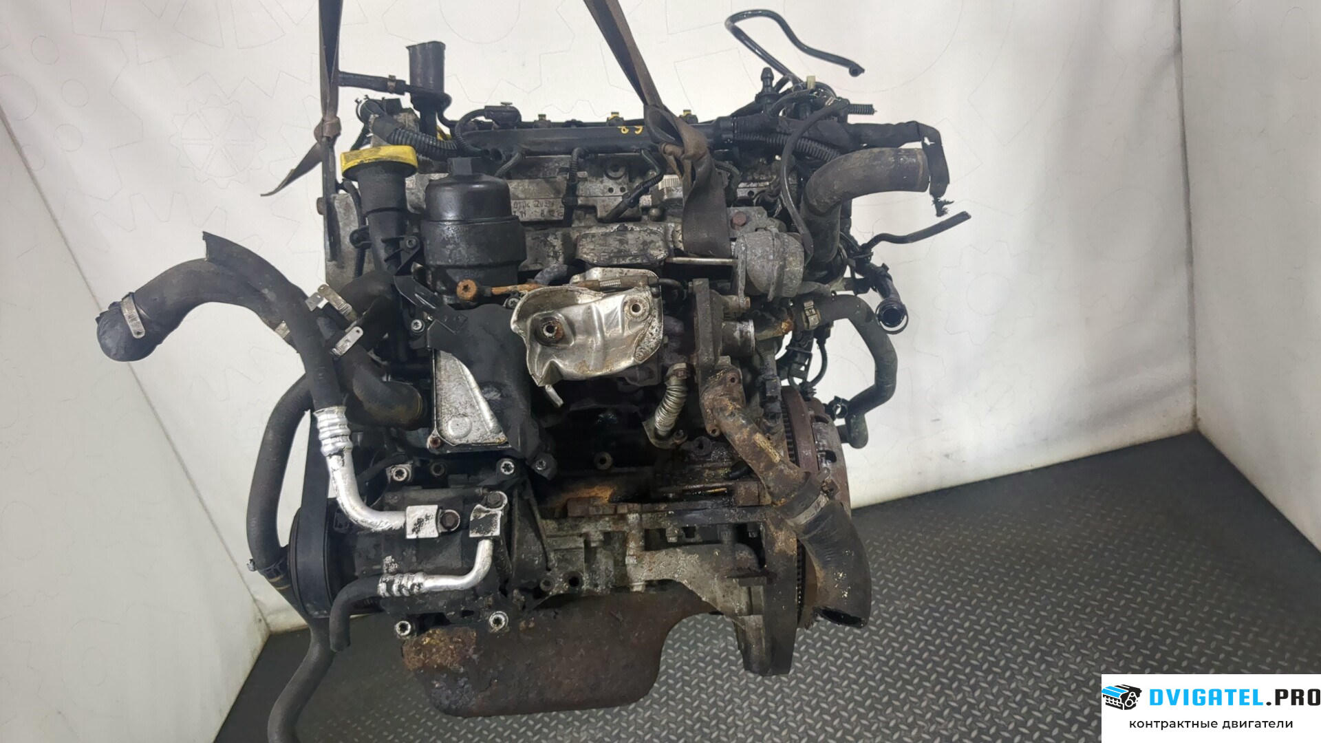 Двигатель Fiat 500 2007 - н.в. 169 A 1.000 1.3 л., Дизель, JTD, артикул 8891008