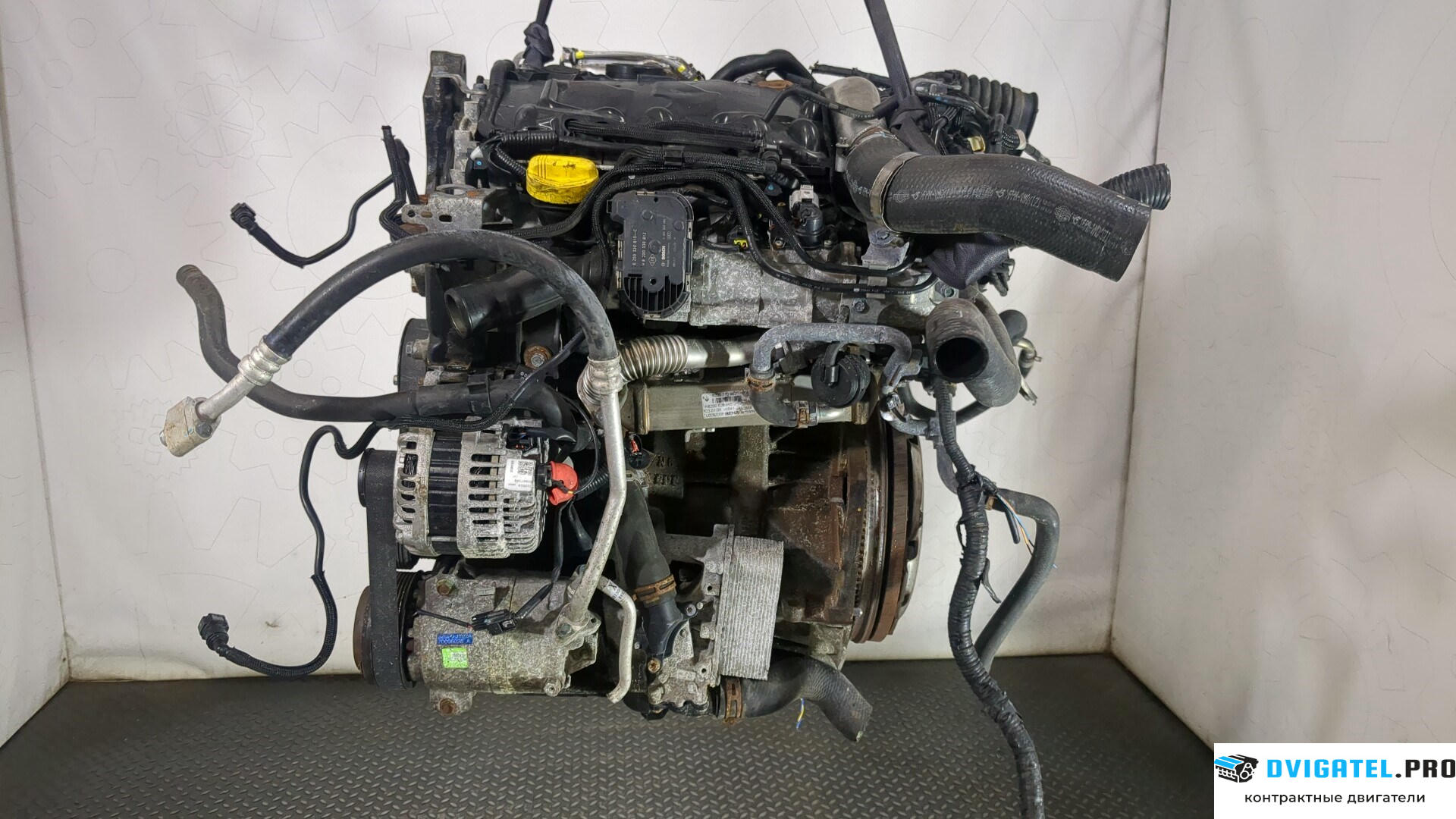 Двигатель Renault Koleos 2008 - 2016 M9R 832 2 л., Дизель, DCI, артикул 8936798