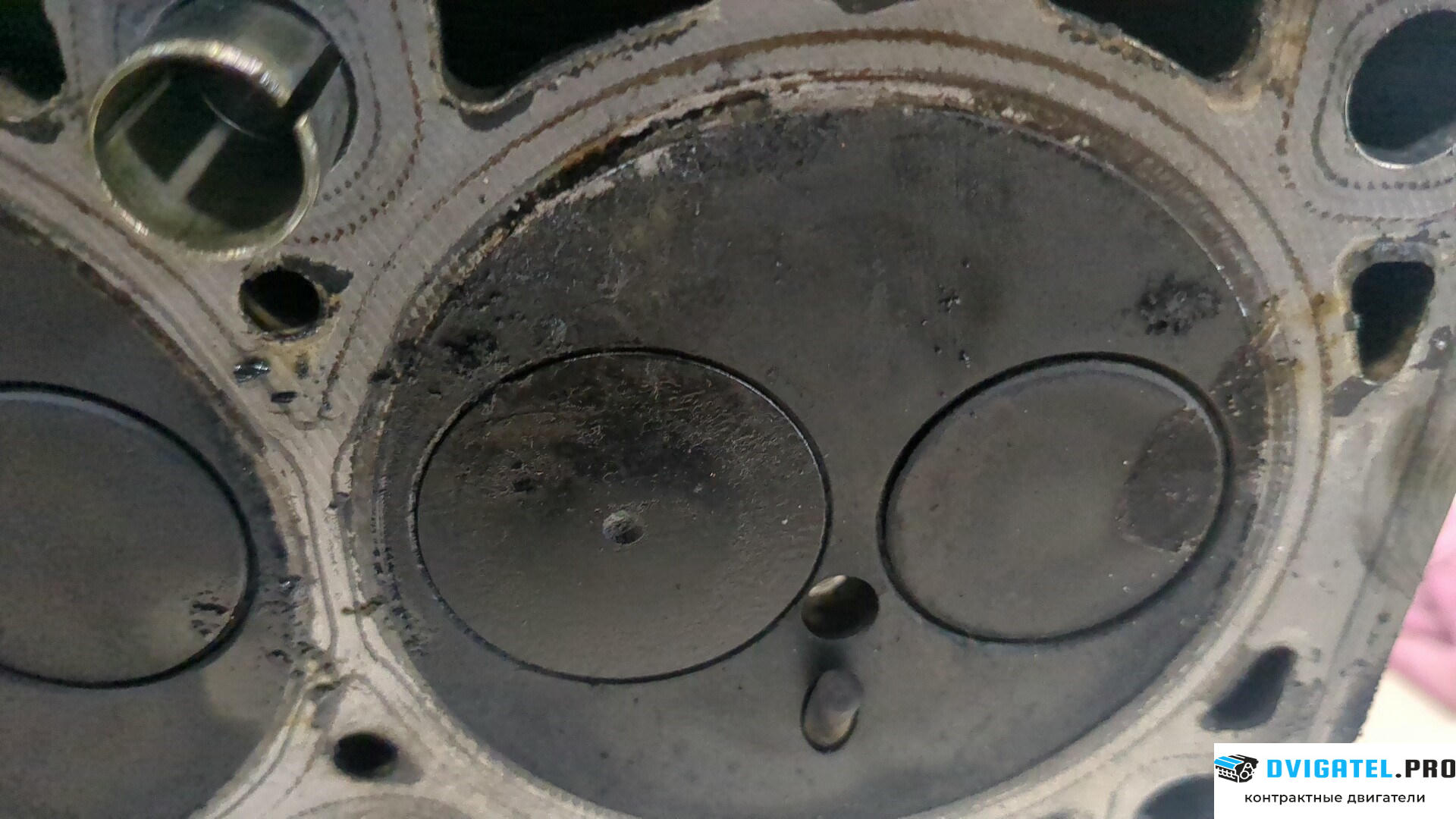 Головка блока цилиндров (ГБЦ) Volkswagen Polo 2001 - 2005 BAY 1.4 л., Дизель, TDI, артикул 8745776