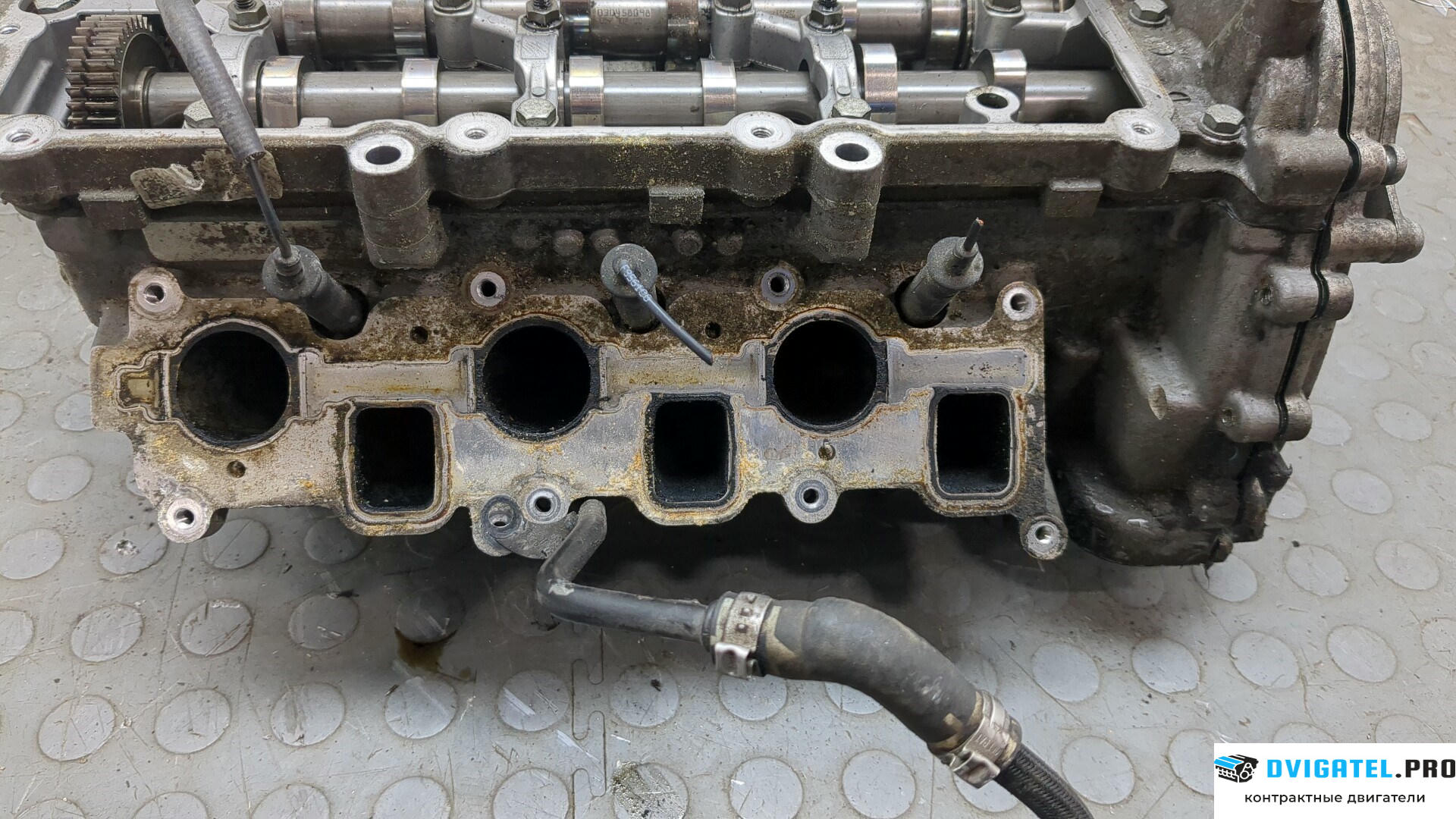 Головка блока цилиндров (ГБЦ) Audi A6 C6 2005 - 2011 CDYA 3 л., Дизель, TDI, артикул 8879305