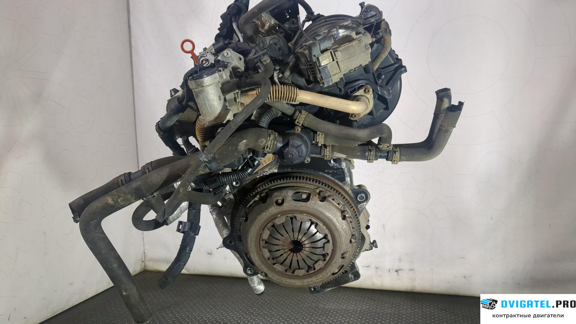 Двигатель Volkswagen Golf 5 2003 - 2009 BLF 1.6 л., Бензин, FSI, артикул 8948818