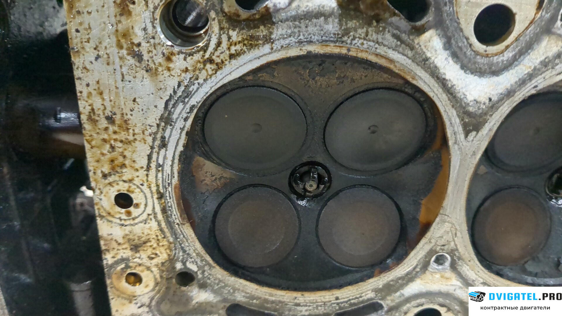 Головка блока цилиндров (ГБЦ) BMW 3 E46 1998 - 2005 N42 B18A 1.8 л., Бензин, Инжектор, артикул 8745654