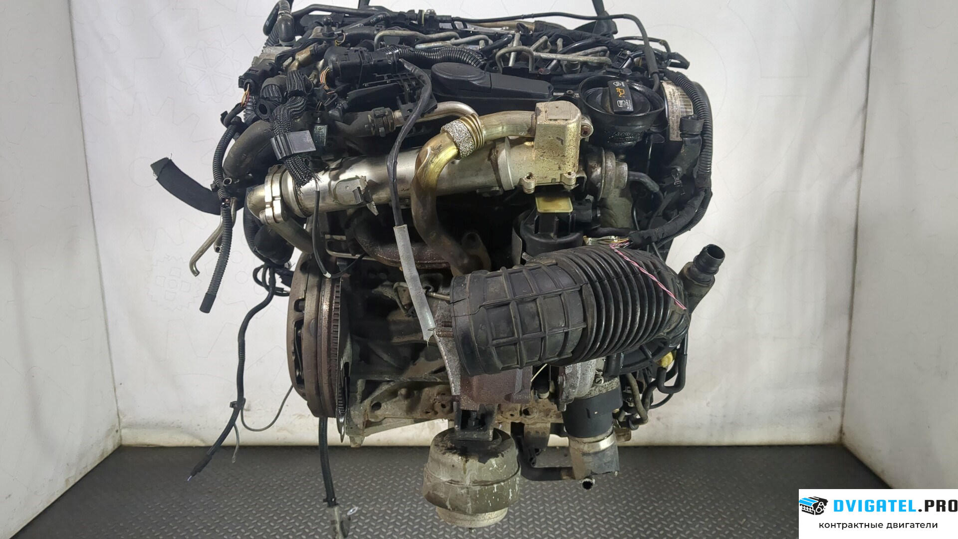 Двигатель Seat Exeo CAGA 2 л., Дизель, TDI, артикул 8767051