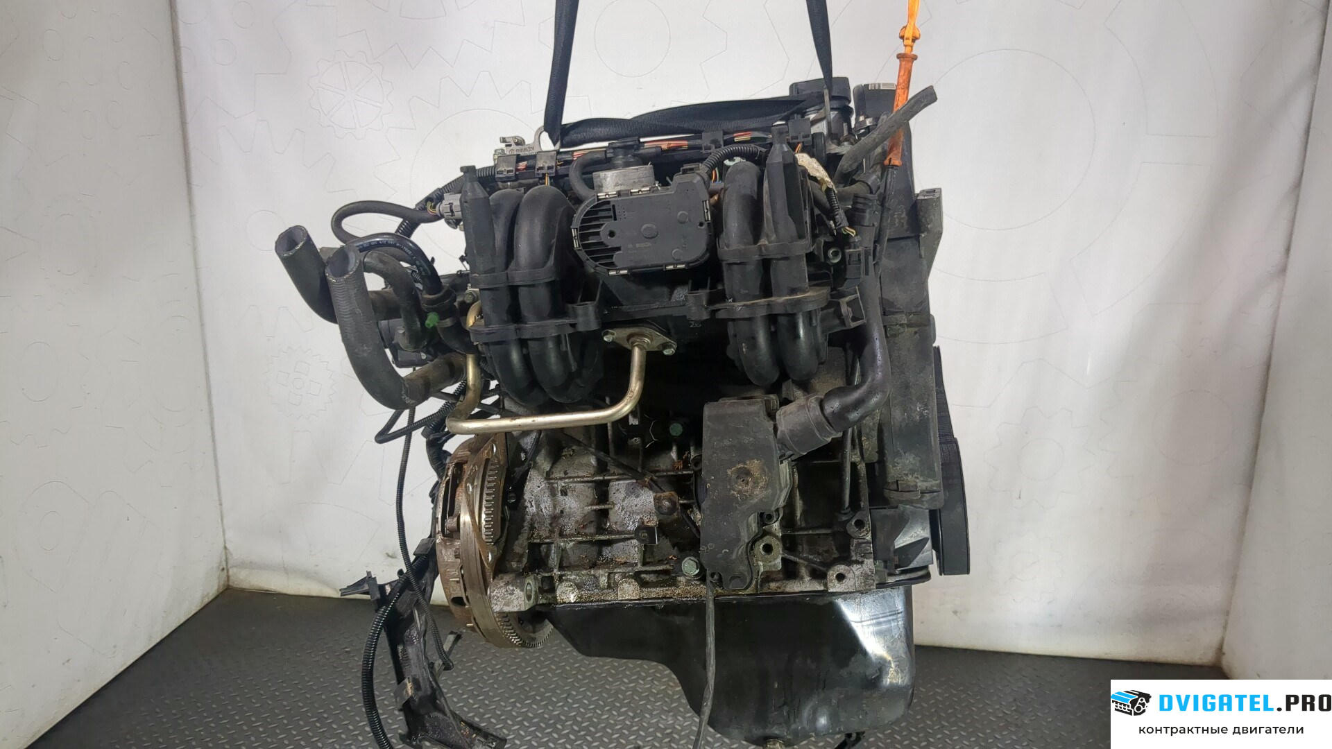 Двигатель Volkswagen Lupo AUC 1 л., Бензин, Инжектор, артикул 9023104