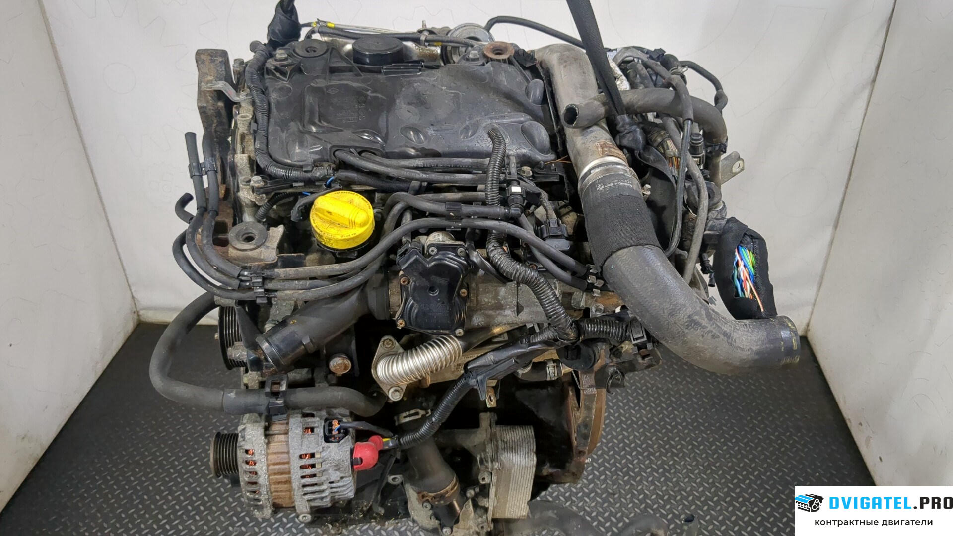 Двигатель Nissan Qashqai 2006 - 2013 M9R 2 л., Дизель, DCI, артикул 9232381