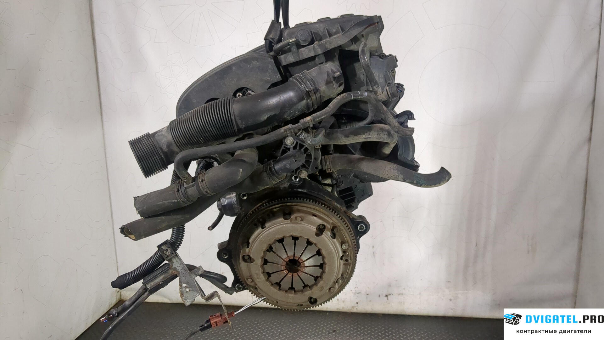 Двигатель Volkswagen Golf 5 2003 - 2009 BUD 1.4 л., Бензин, Инжектор, артикул 9062551