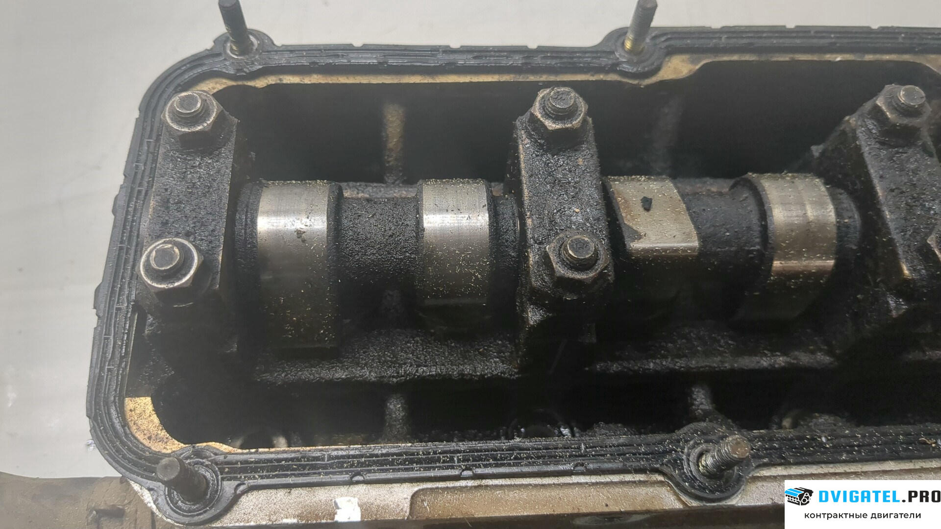Головка блока цилиндров (ГБЦ) Volkswagen Golf 4 1997 - 2005 AKL 1.6 л., Бензин, Инжектор, артикул 8845736