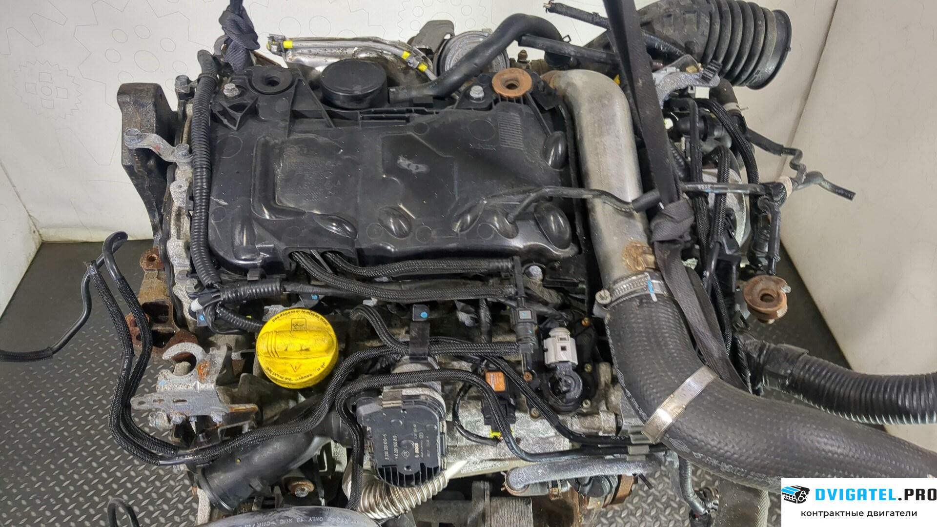 Двигатель Renault Koleos 2008 - 2016 M9R 832 2 л., Дизель, DCI, артикул 8936798