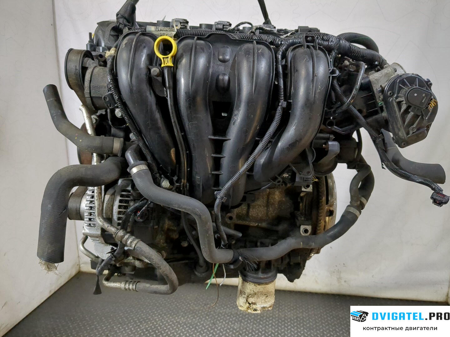 Двигатель Ford Focus 2 2005 - 2008 QQDB 1.8 л., Бензин, SFI Инжектор, артикул 8759266