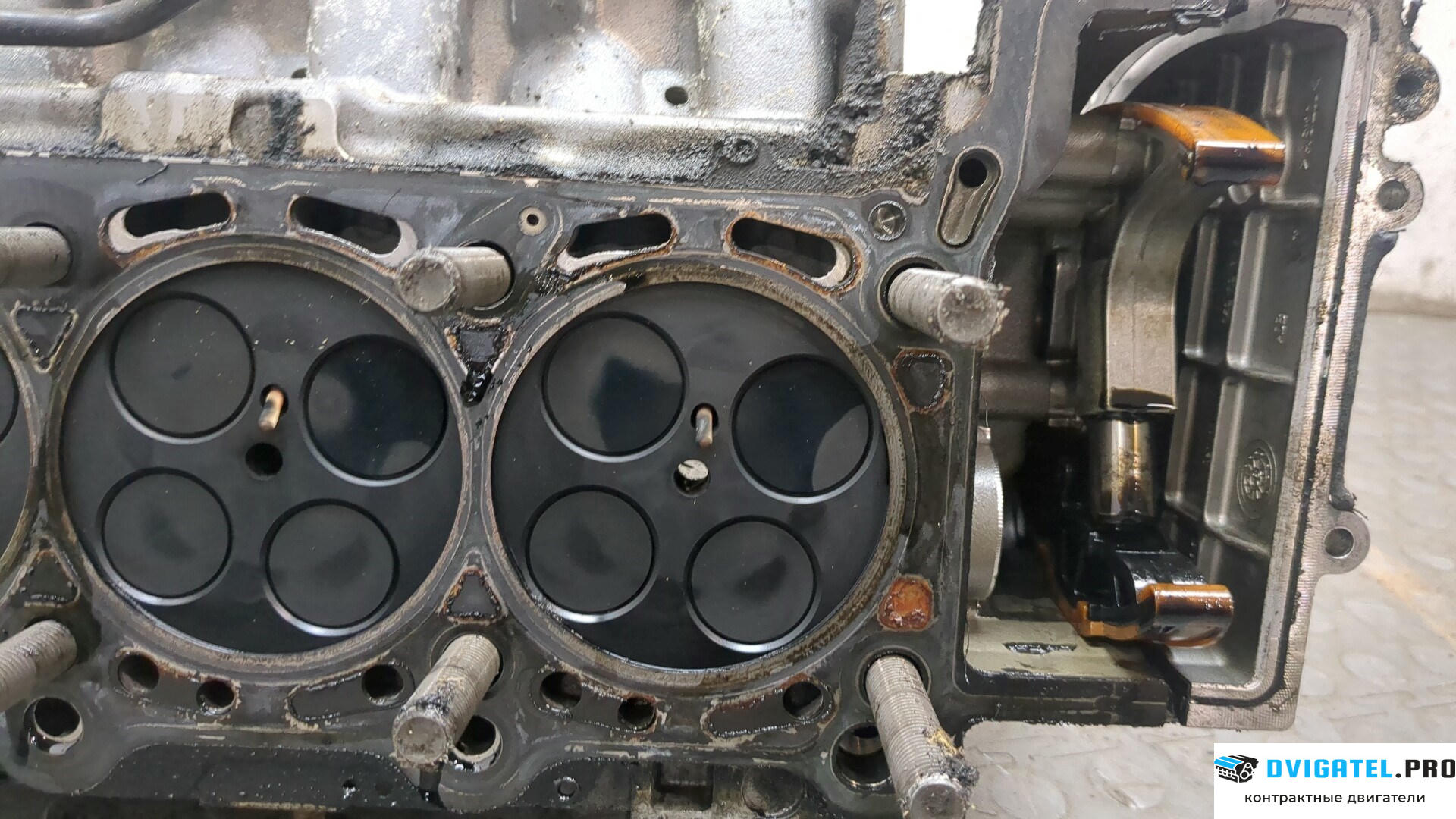 Головка блока цилиндров (ГБЦ) Audi A6 C6 2005 - 2011 CDYA 3 л., Дизель, TDI, артикул 8879305