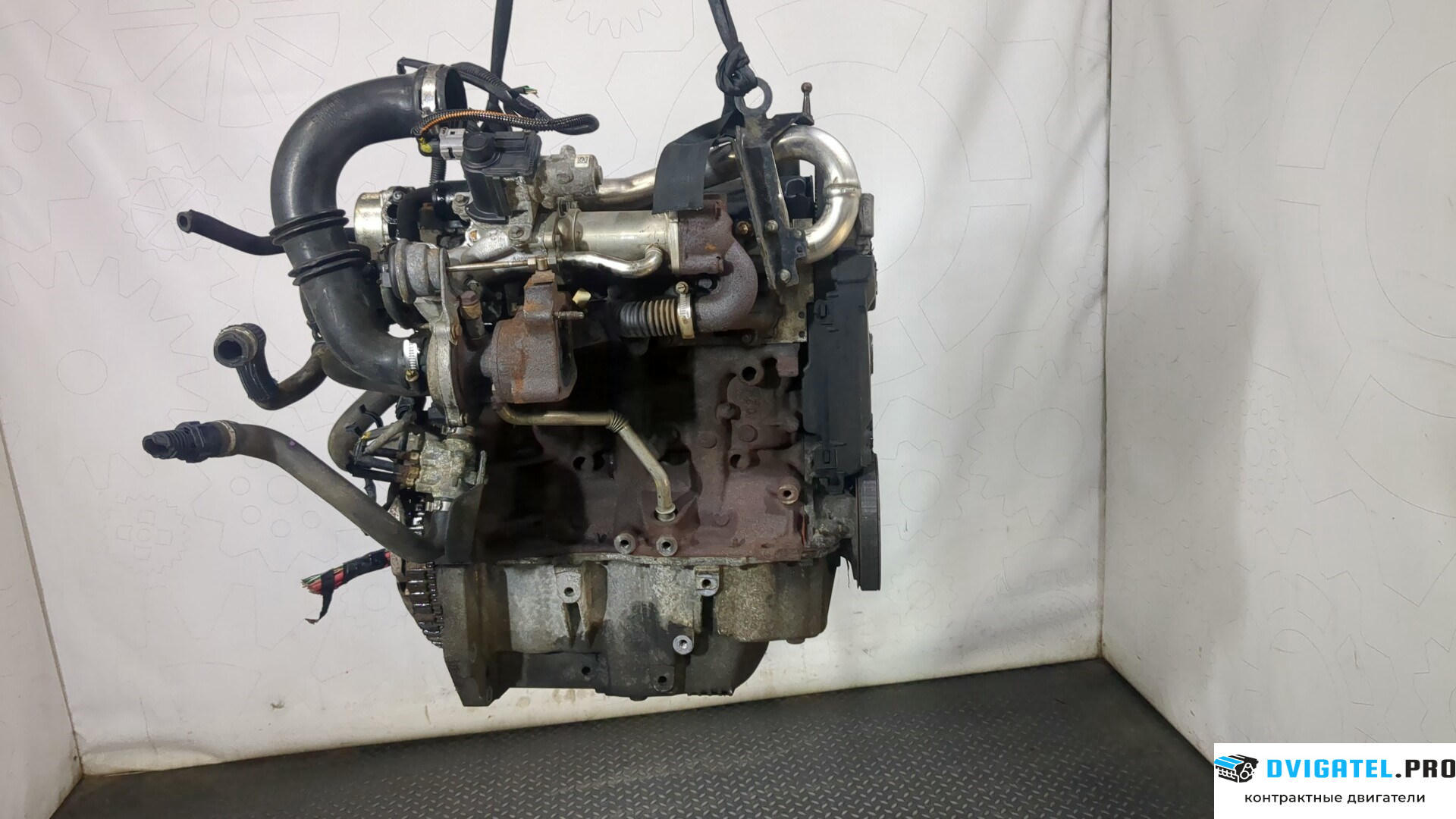 Двигатель Nissan Kubistar K9K704, K9K716, K9K700 1.5 л., Дизель, Турбо, артикул 8976723