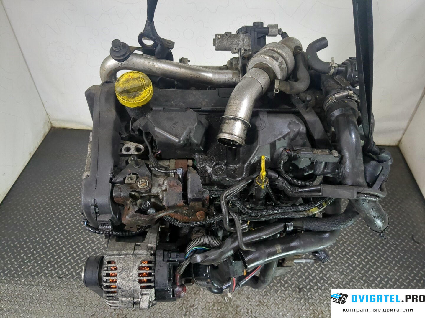 Двигатель Nissan Micra K12E 2003 - 2010 K9K 1.5 л., Дизель, DCI, артикул 8568434