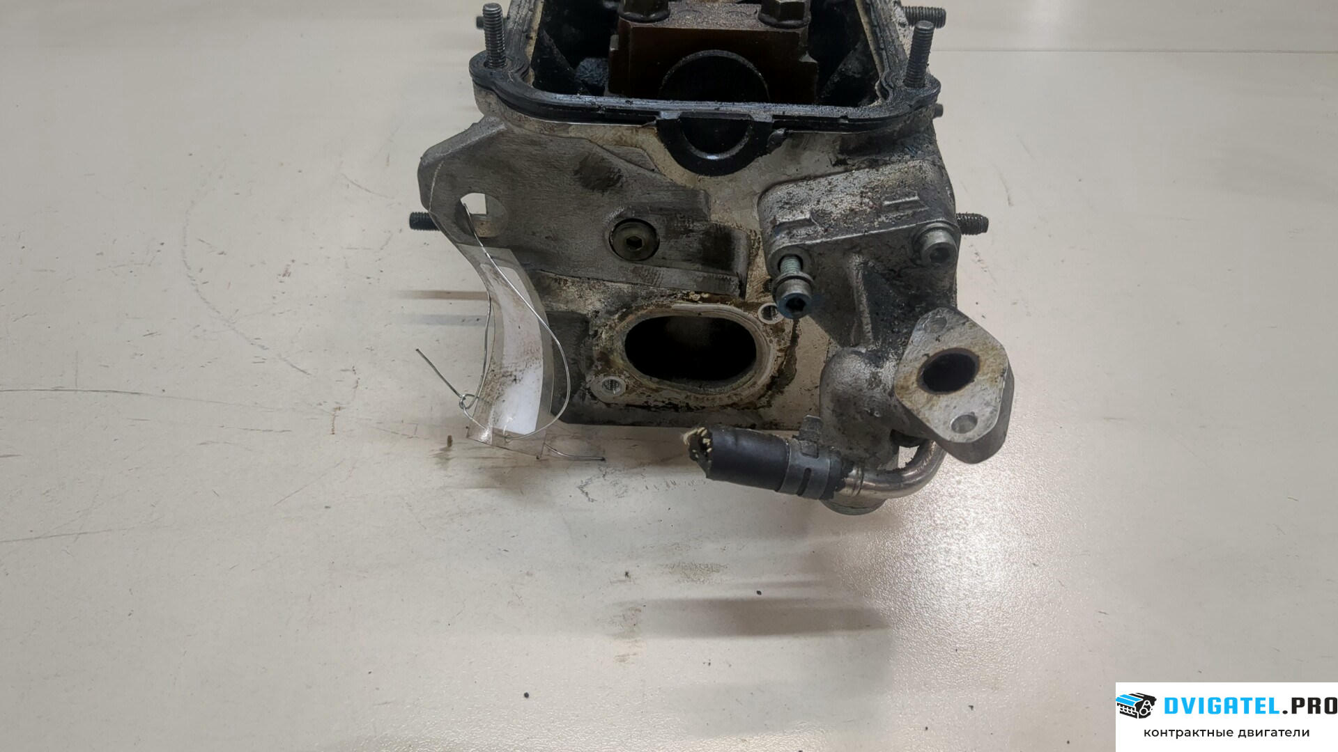 Головка блока цилиндров (ГБЦ) Audi A4 B5 1994 - 2000 ANA 1.6 л., Бензин, Инжектор, артикул 9246606