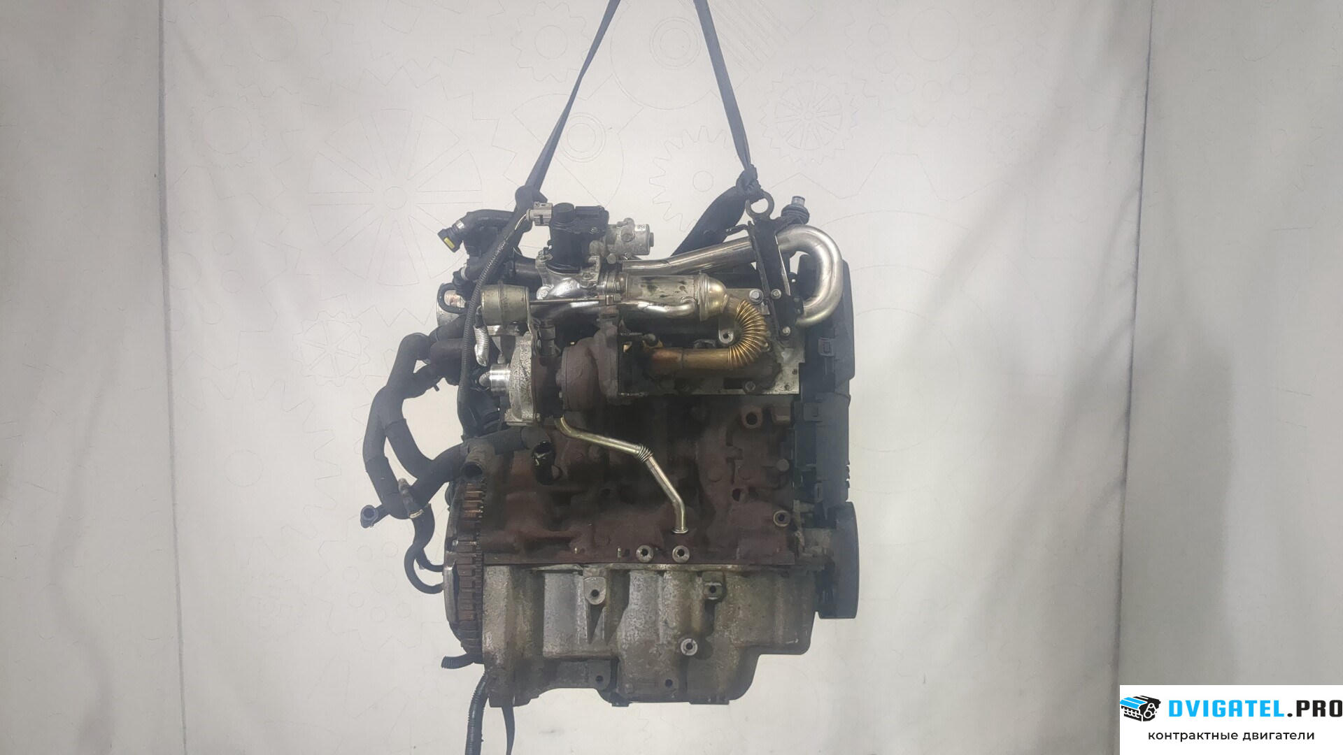 Двигатель Nissan Note E11 2006 - 2013 K9K 1.5 л., Дизель, DCI, артикул 9006880