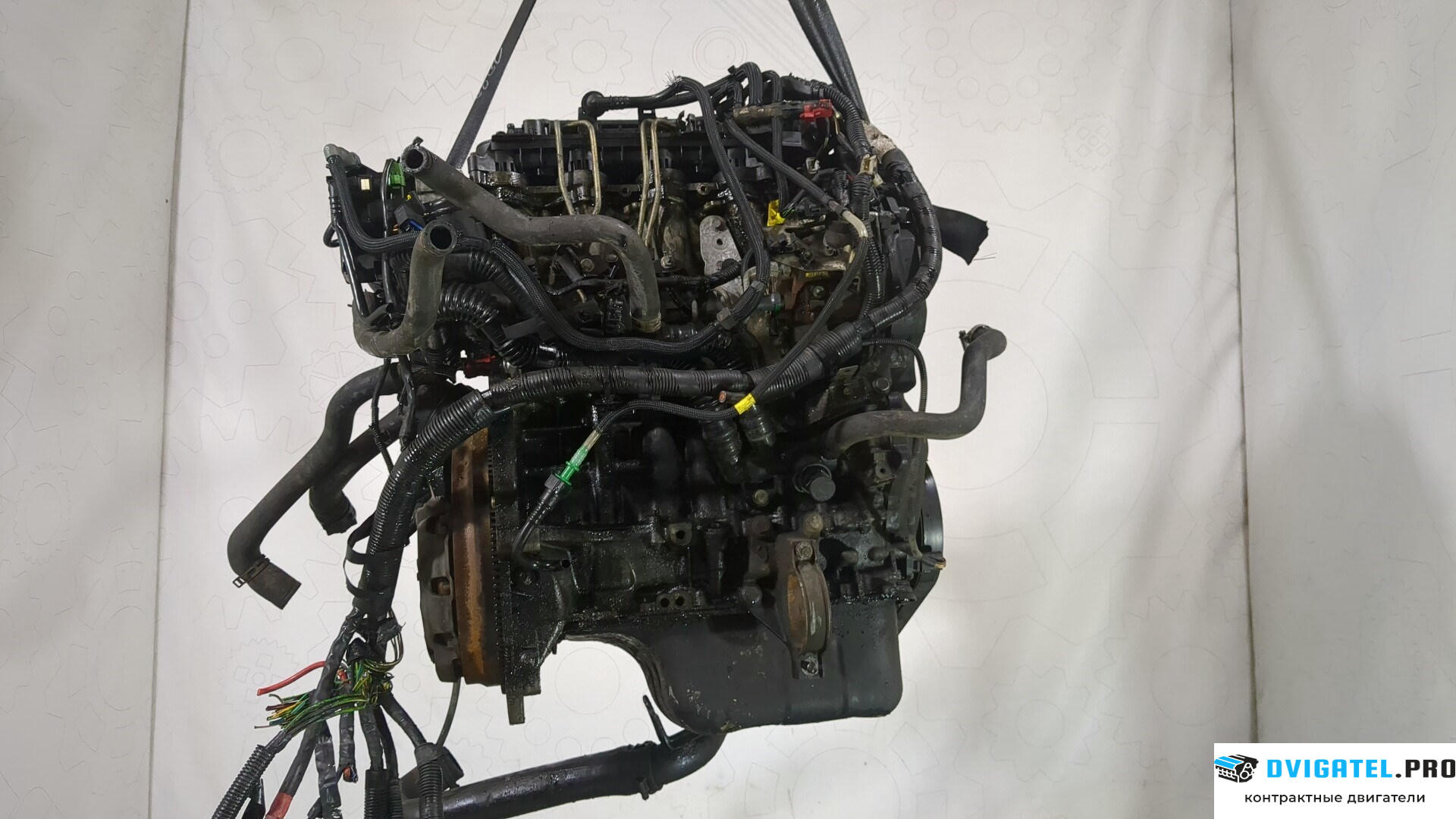 Двигатель Ford Fusion 2002 - 2012 HHJB, HHJA 1.6 л., Дизель, TDCI, артикул 8569081