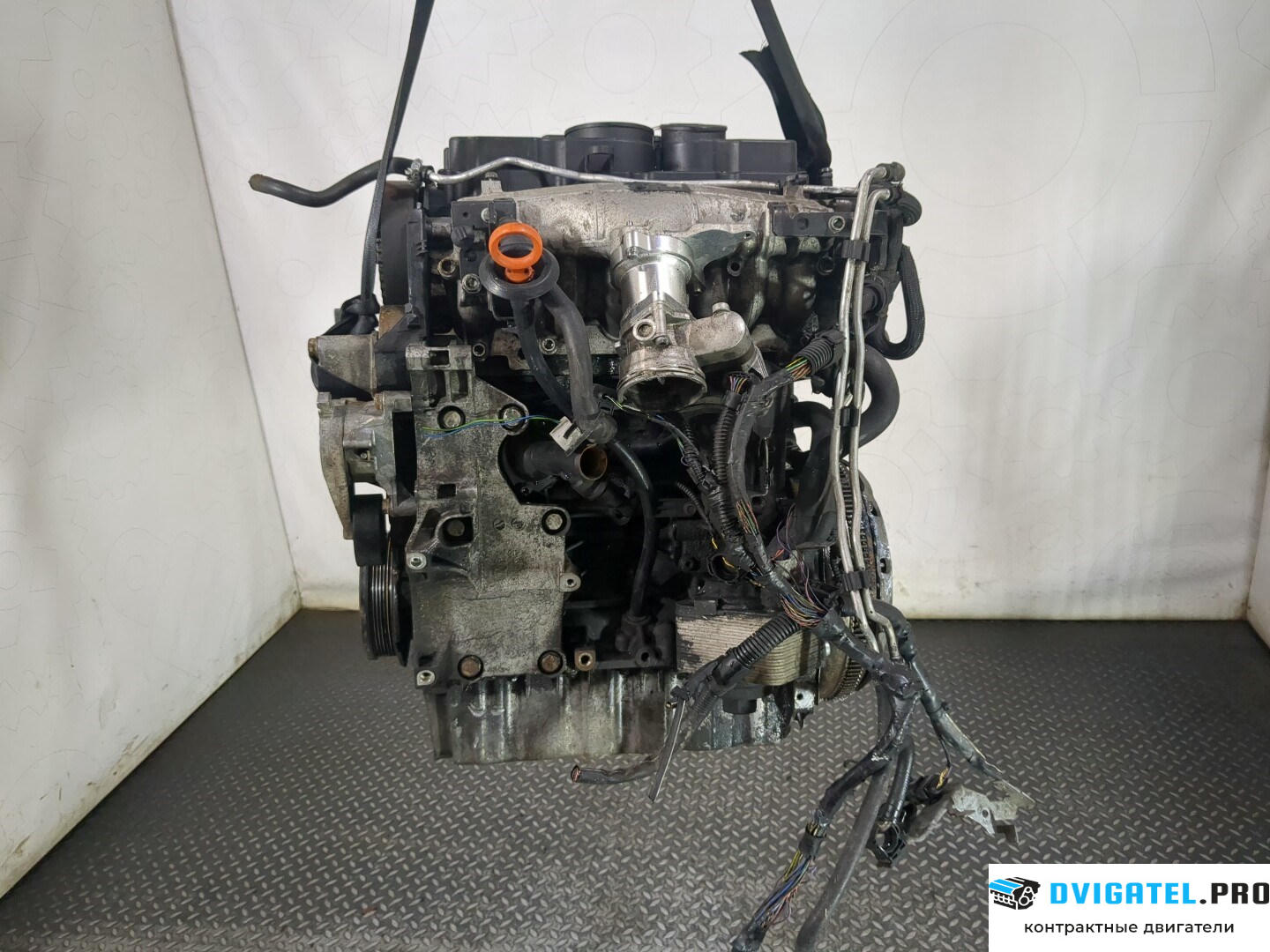 Двигатель Seat Leon 2 2005 - 2009 BMN 2 л., Дизель, TDI, артикул 8667411