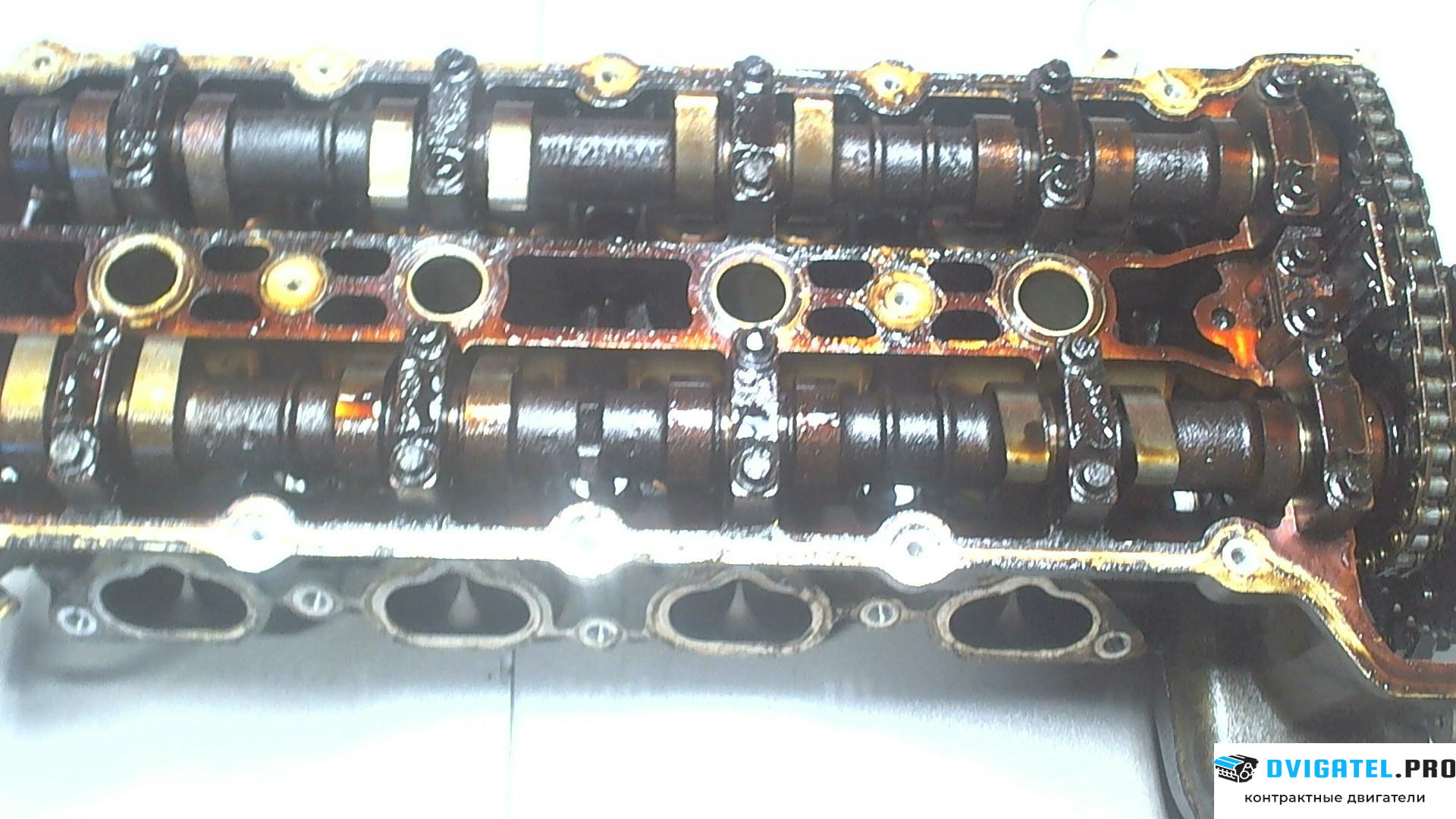 Головка блока цилиндров (ГБЦ) Jaguar XK 1996 - 2004 CE,CC,NB,NC 4.0 л., Бензин, Инжектор, артикул 6447588