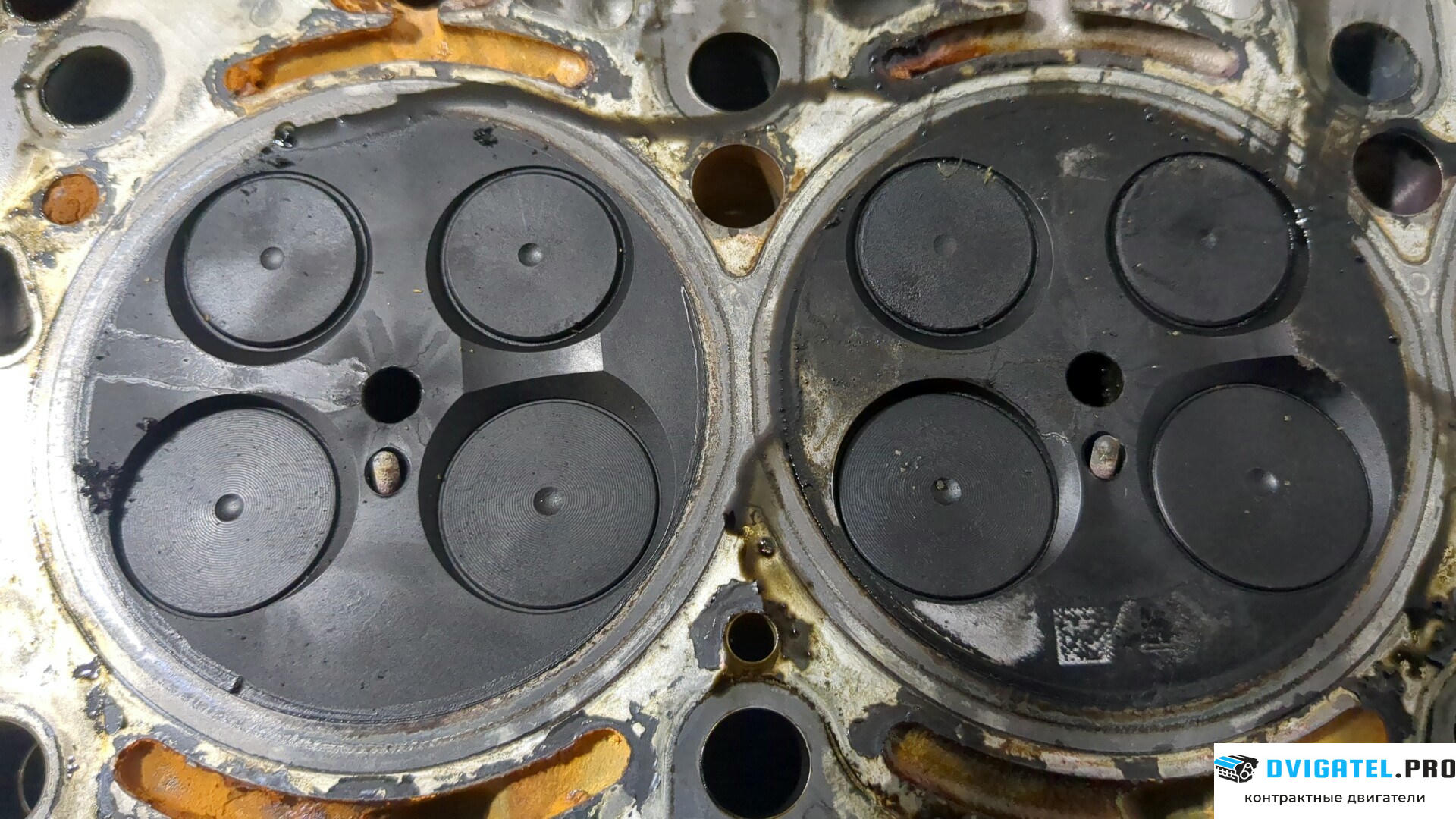 Головка блока цилиндров (ГБЦ) Mercedes Sprinter 2006 - 2014 OM 651.955 DE 22 LA 2.1 л., Дизель, CDI, артикул 8960079