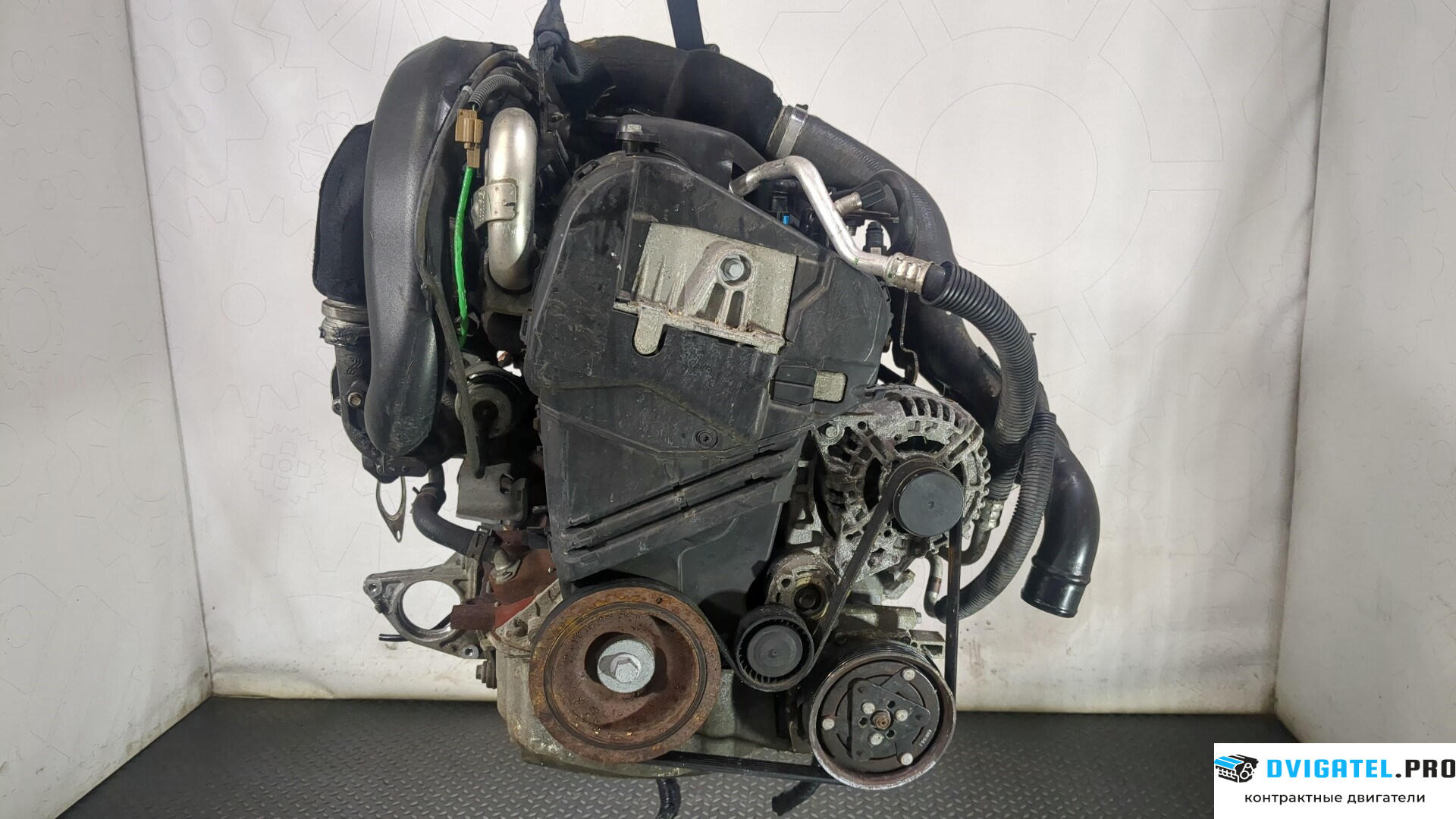 Двигатель Nissan Note E11 2006 - 2013 K9K 1.5 л., Дизель, DCI, артикул 8772436