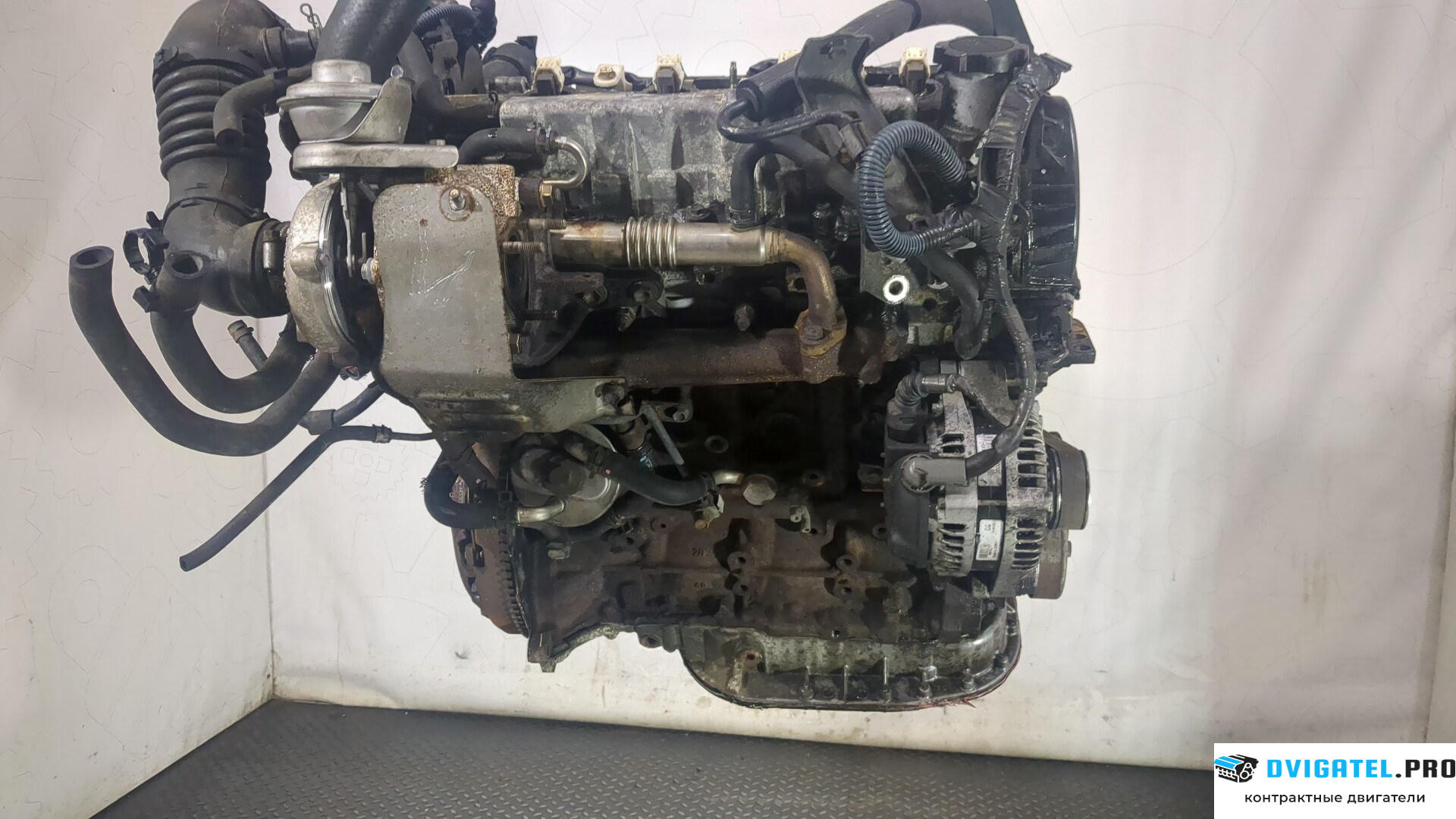 Двигатель Toyota RAV 4 2000 - 2005 1CDFTV 2 л., Дизель, Турбо, артикул 9073882