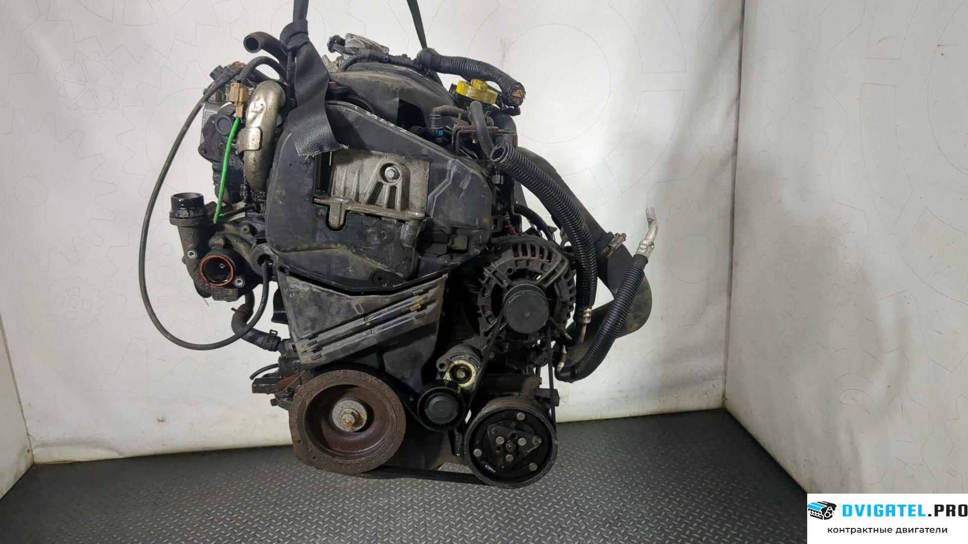 Двигатель Nissan Note E11 2006 - 2013 K9K 1.5 л., Дизель, DCI, артикул 8865801