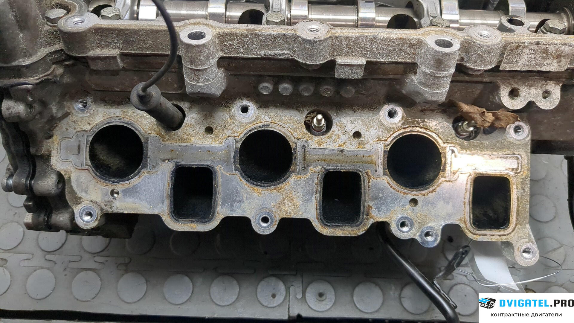 Головка блока цилиндров (ГБЦ) Audi A6 C6 2005 - 2011 CDYA 3 л., Дизель, TDI, артикул 8879306