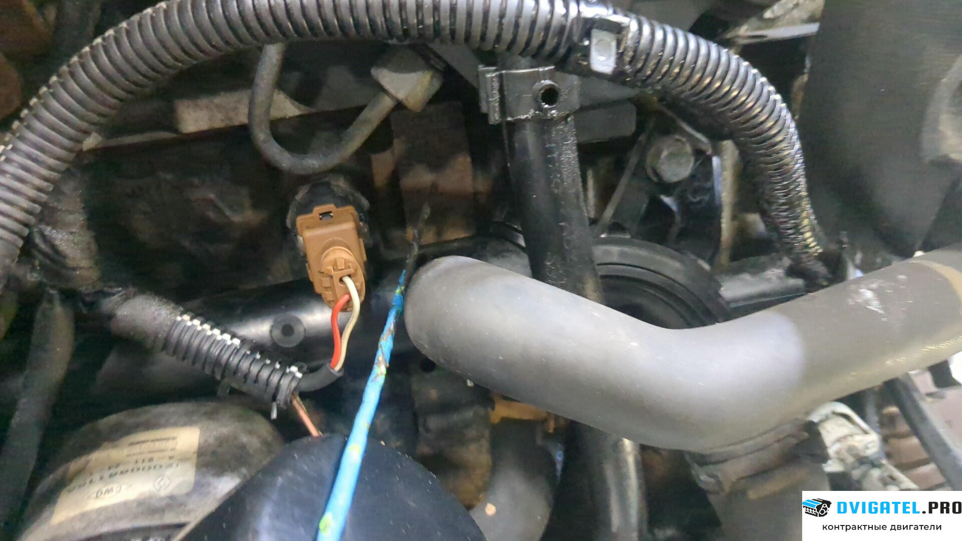 Двигатель Renault Modus K9K 752 1.5 л., Дизель, DCI, артикул 9266426