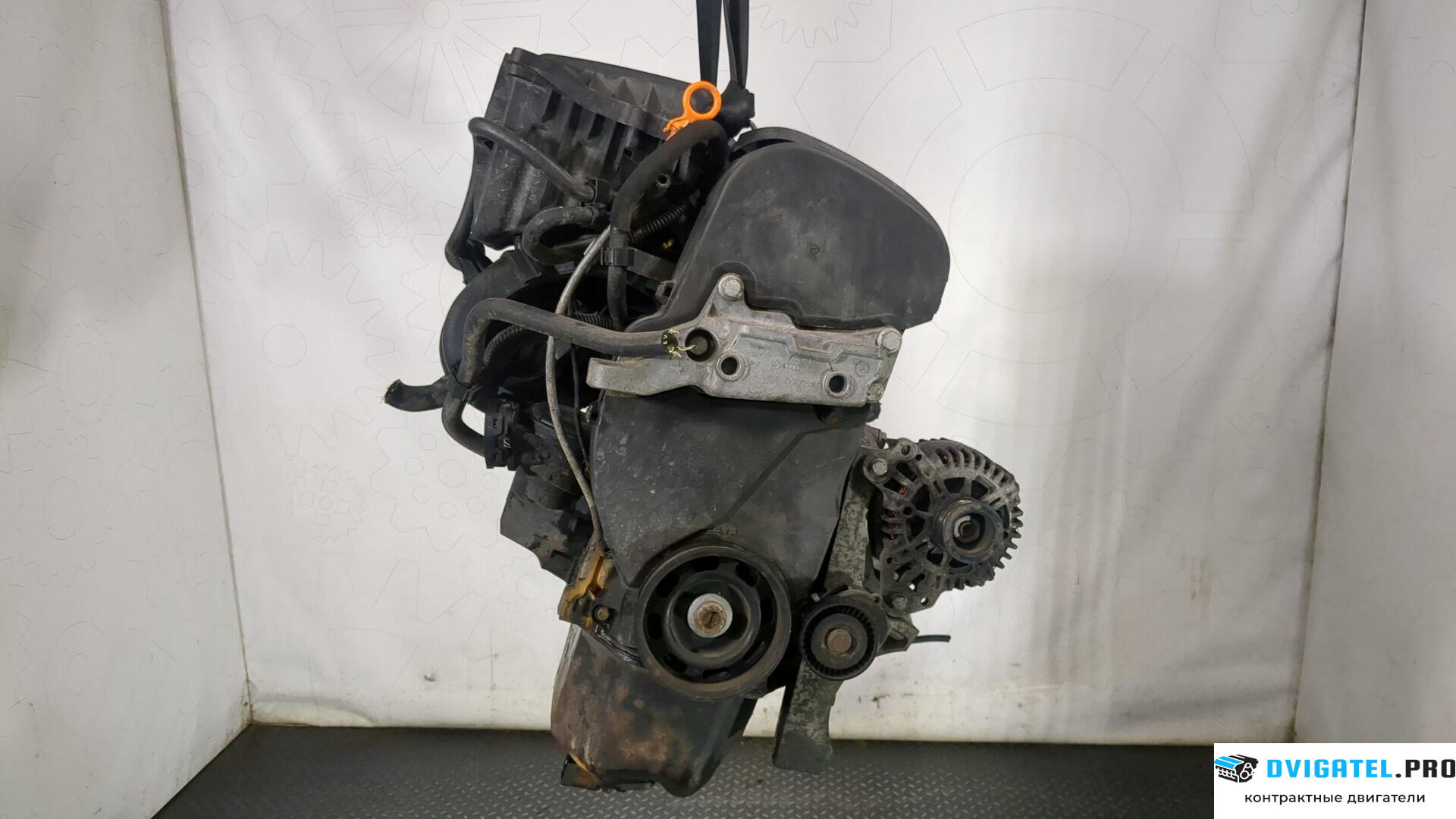Двигатель Volkswagen Golf 5 2003 - 2009 BUD 1.4 л., Бензин, Инжектор, артикул 9062551