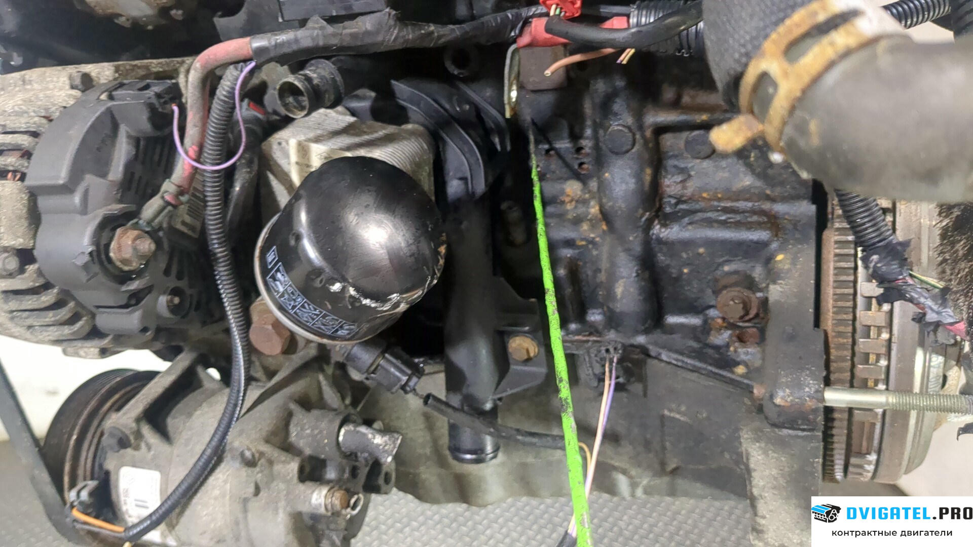 Двигатель Renault Megane 2 2002 - 2009 K9K 732 1.5 л., Дизель, DCI, артикул 8955790