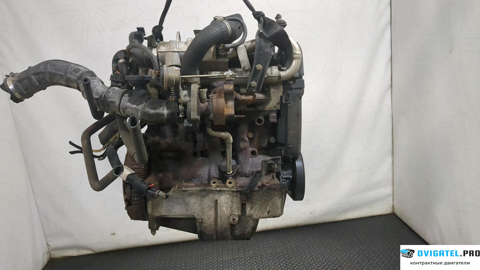 Двигатель Nissan Micra K12E 2003 - 2010 K9K 1.5 л., Дизель, DCI, артикул 8305324