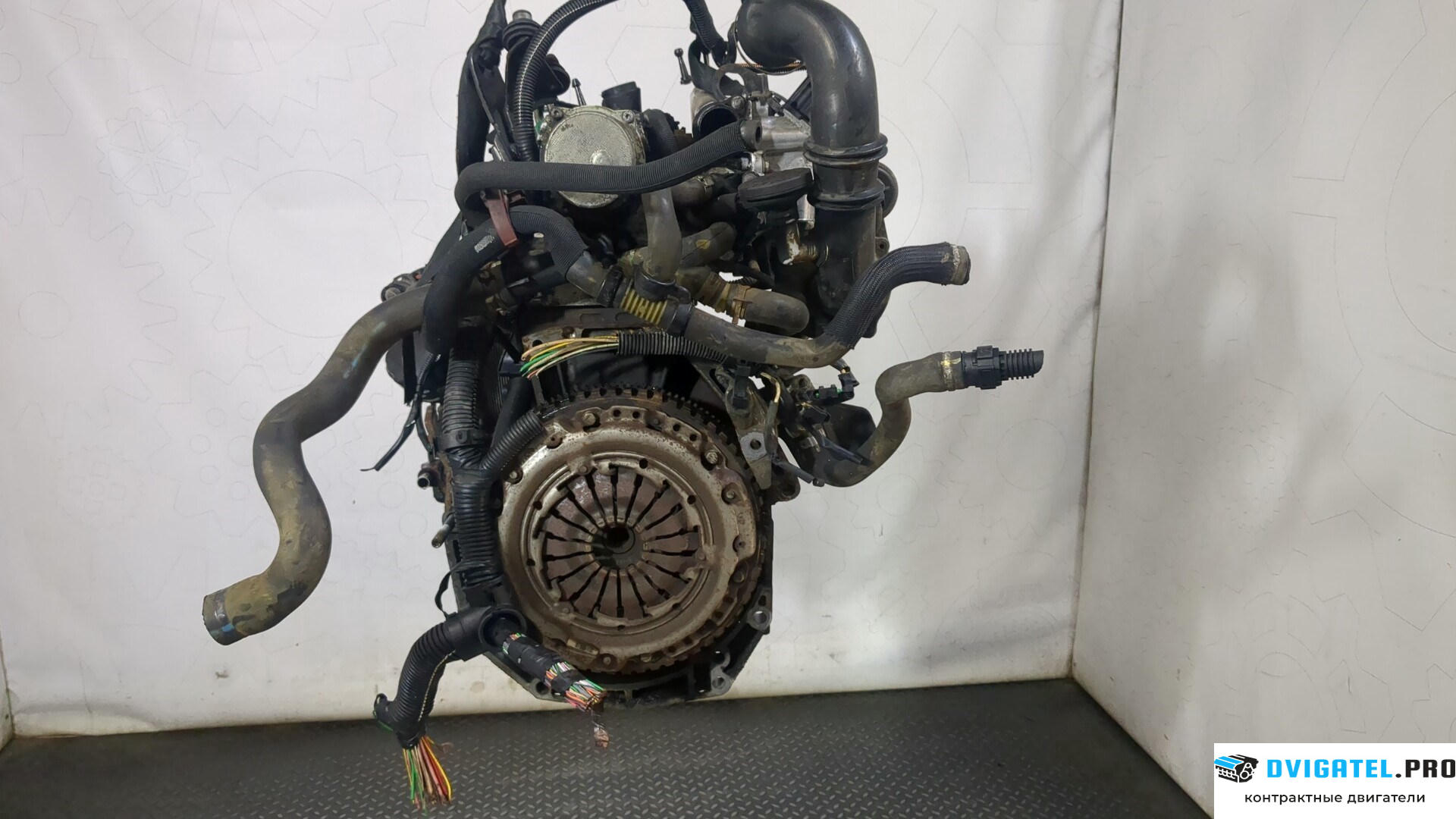 Двигатель Nissan Kubistar K9K704, K9K716, K9K700 1.5 л., Дизель, Турбо, артикул 8976723