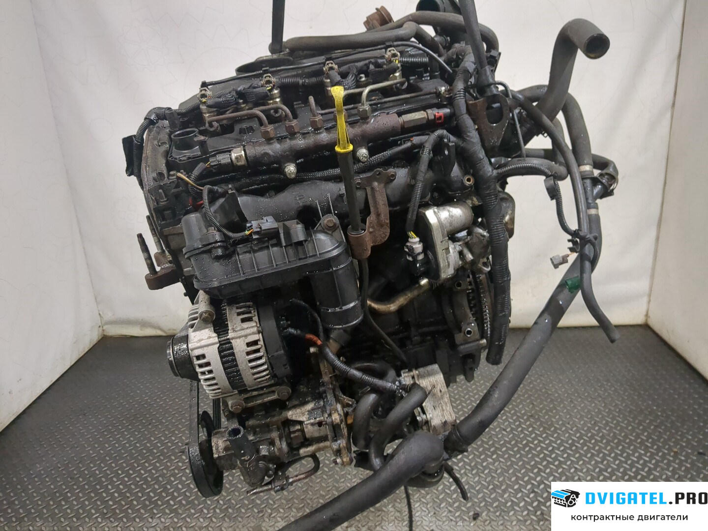 Двигатель Ford Transit 2006 - 2014 P8FA, P8FB 2.2 л., Дизель, TDCI, артикул 8259224