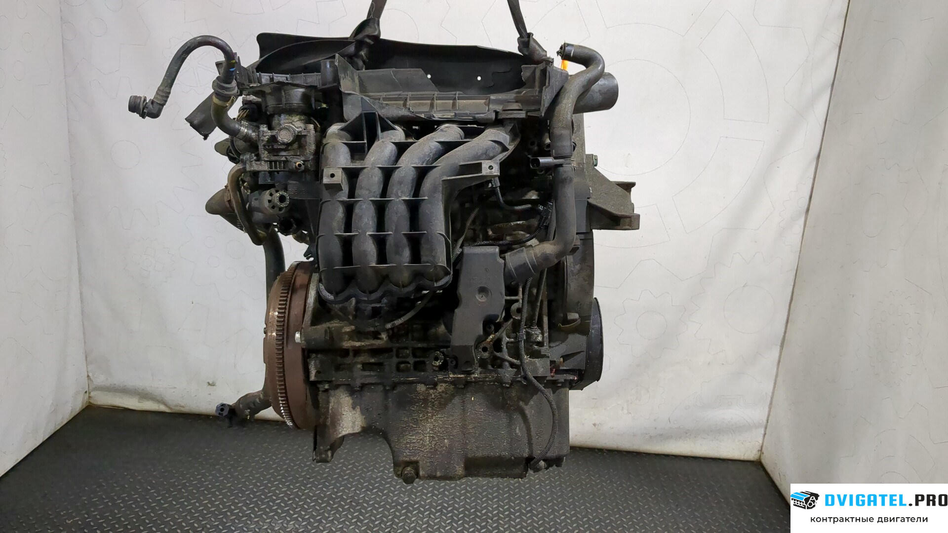 Двигатель Volkswagen Golf 4 1997 - 2005 AXP 1.4 л., Бензин, Инжектор, артикул 8264425