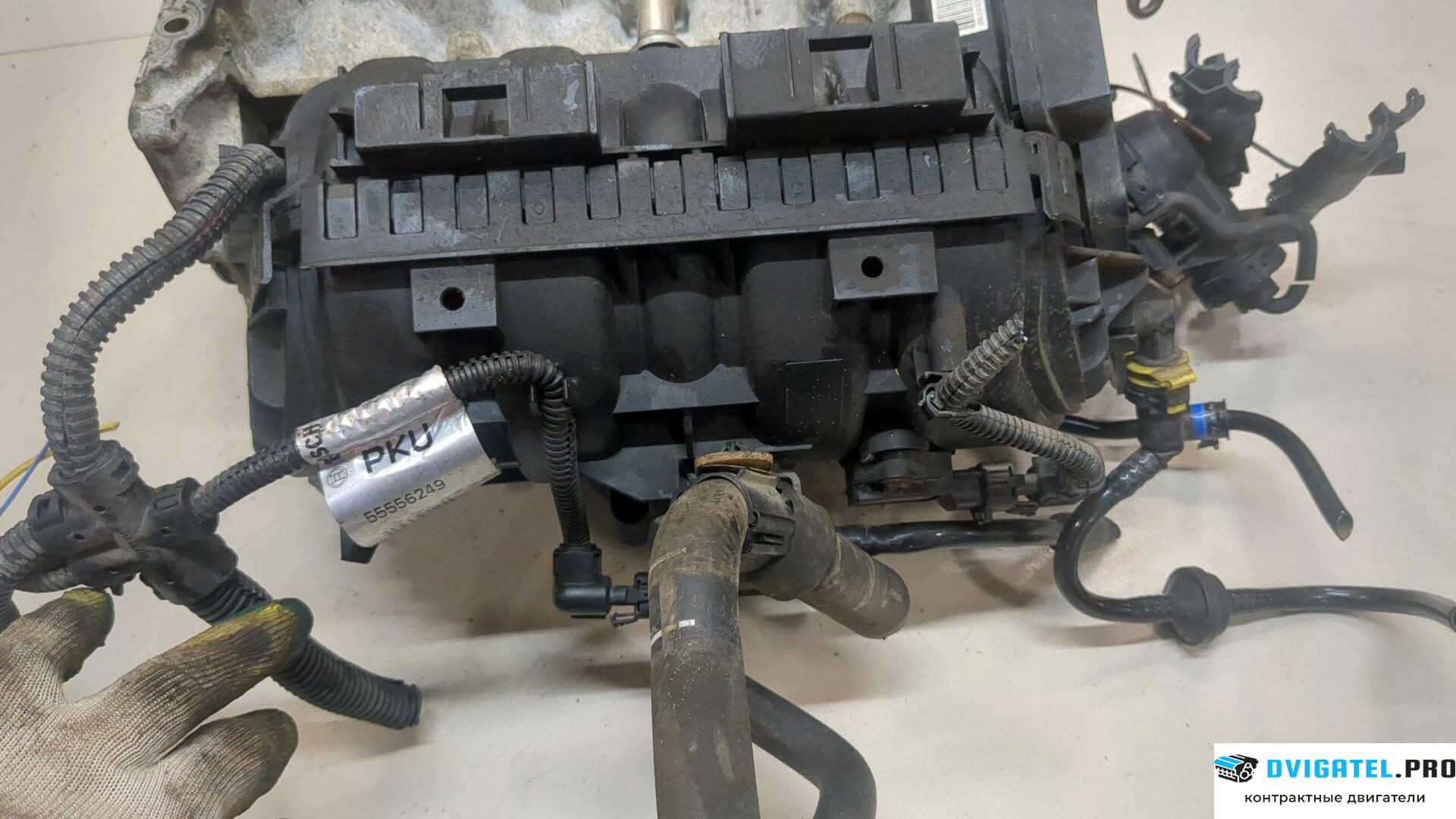 Головка блока цилиндров (ГБЦ) Opel Corsa C 2000 - 2006 Z14XEP 1.4 л., Бензин, Инжектор, артикул 9262855