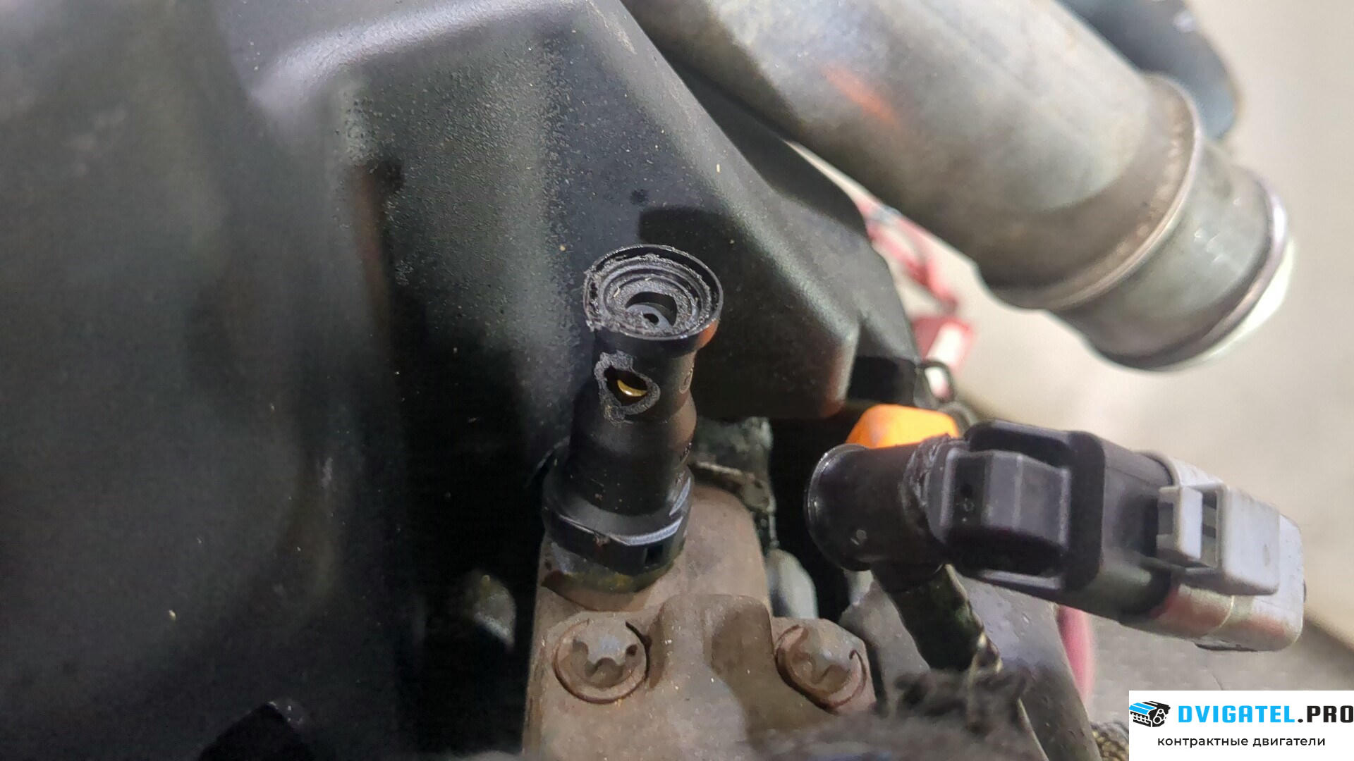 Двигатель Renault Megane 2 2002 - 2009 K9K 732 1.5 л., Дизель, DCI, артикул 8955790