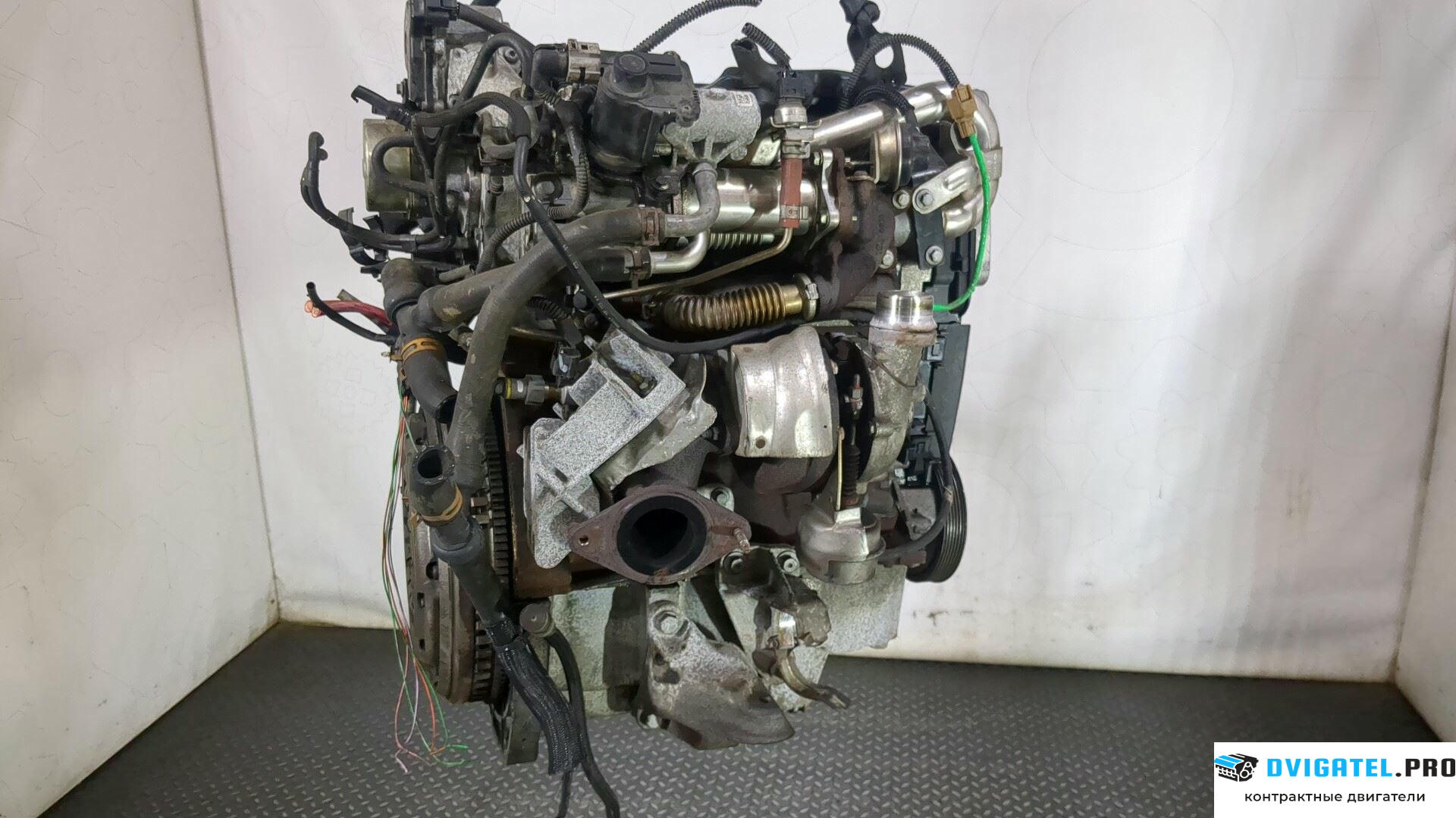 Двигатель Renault Scenic 2009 - 2012 K9K 836, K9K 837 1.5 л., Дизель, DCI, артикул 9040768