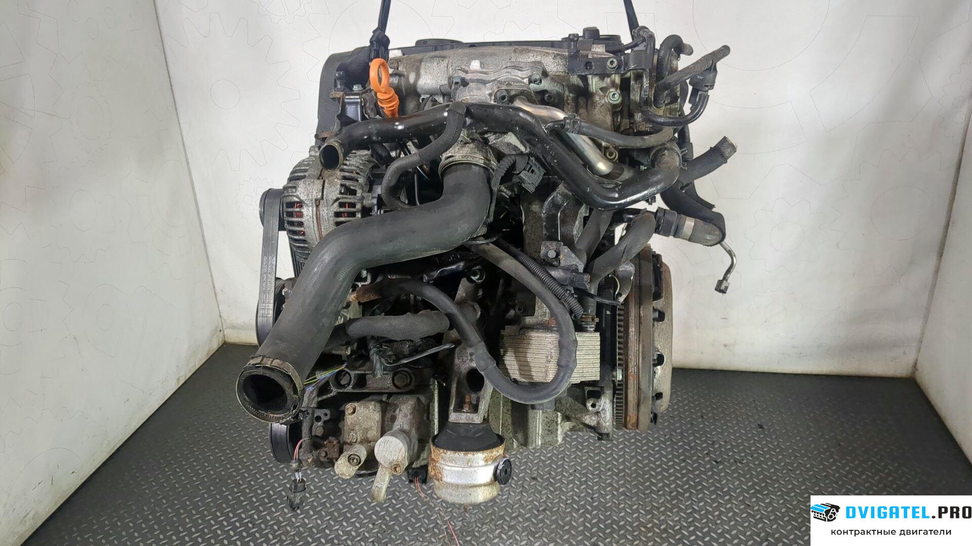 Двигатель Audi A4 B7 2005 - 2007 BLB 2 л., Дизель, TDI, артикул 8862609