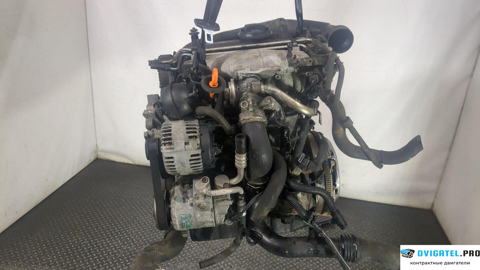 Двигатель Volkswagen Golf Plus BKD 2 л., Дизель, TDI, артикул 8904556