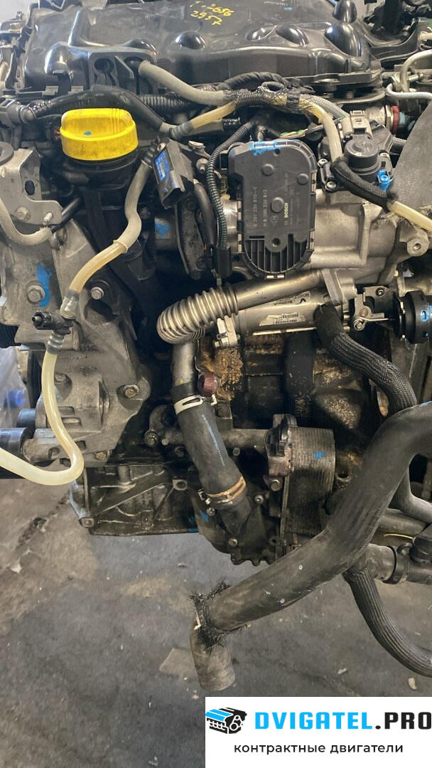 Двигатель Renault Laguna 3 2007 - н.в. M9R 742 2 л., Дизель, DCI, артикул 8263149