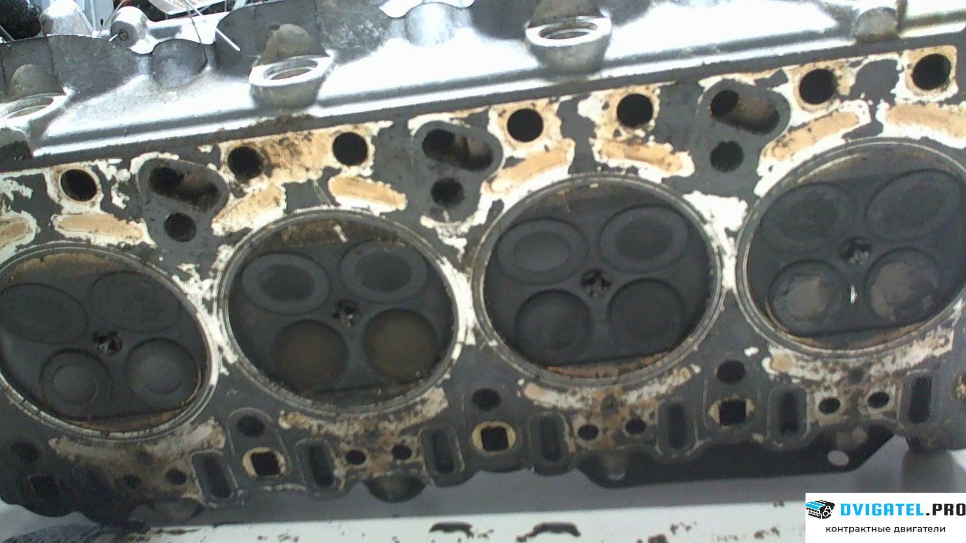 Головка блока цилиндров (ГБЦ) Porsche Cayenne 2002 - 2007 M48.00 4.5 л., Бензин, Инжектор, артикул 7064449