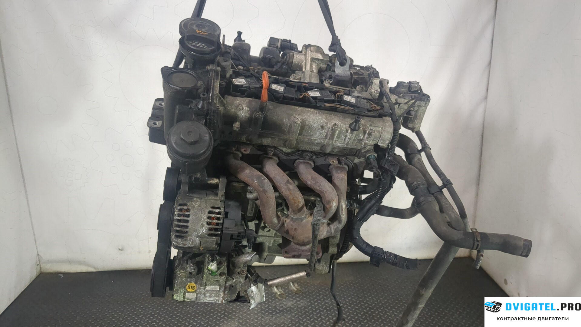 Двигатель Volkswagen Golf 5 2003 - 2009 BLF 1.6 л., Бензин, FSI, артикул 9012974