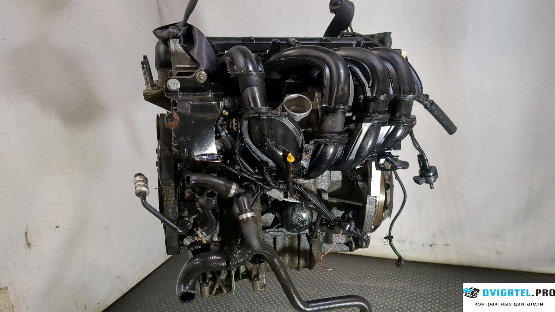 Двигатель Ford Focus 2 2005 - 2008 SHDA 1.6 л., Бензин, HPDC Инжектор, артикул 9280635