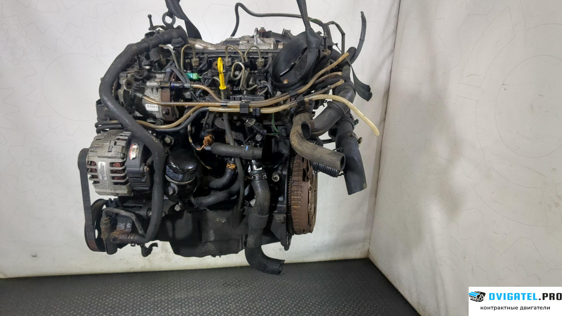 Двигатель Renault Kangoo 1998 - 2008 K9K 702 1.5 л., Дизель, DCI, артикул 8834759