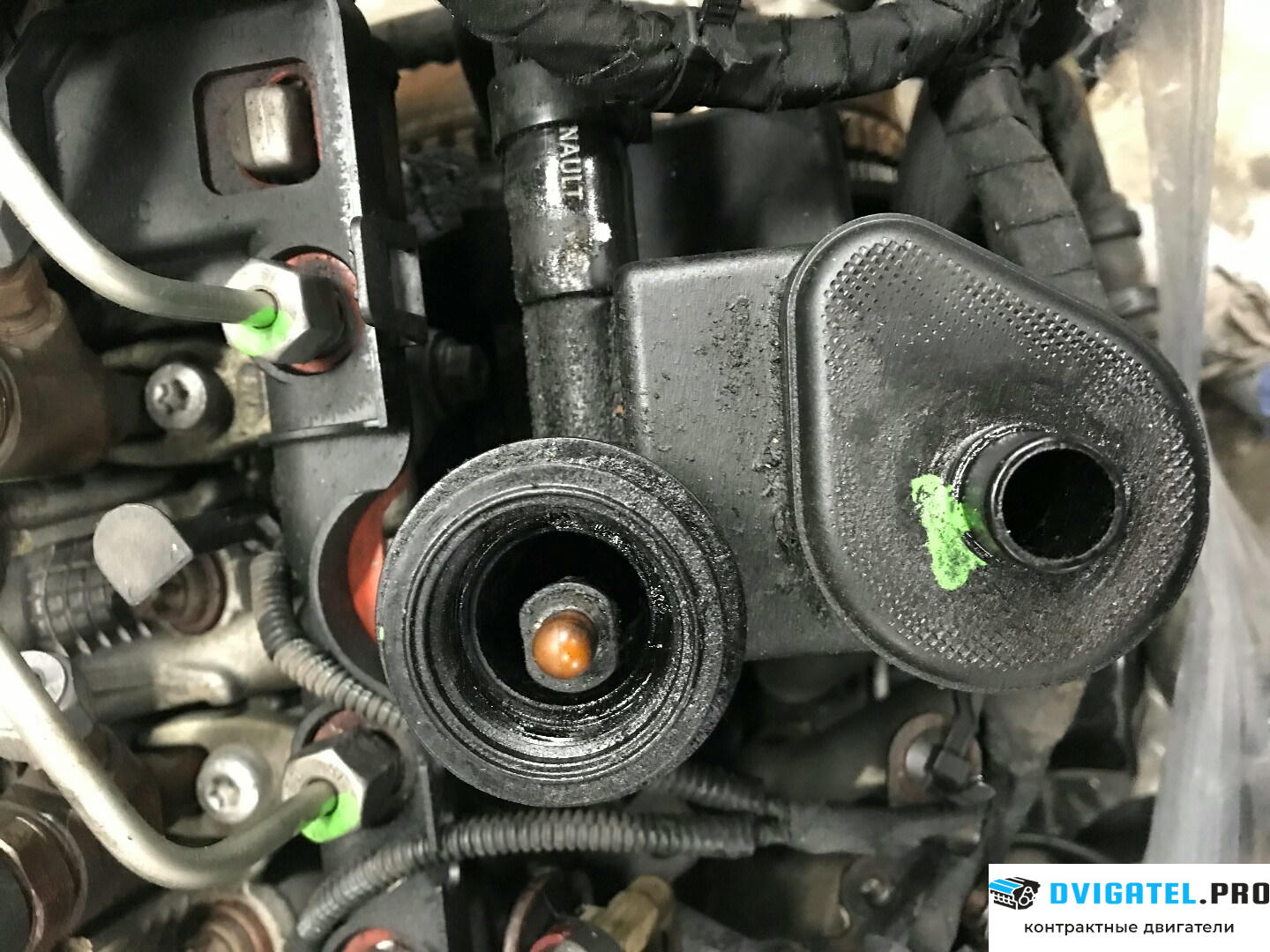Двигатель Renault Scenic 2009 - 2012 F9Q 872 1.9 л., Дизель, DCI, артикул 8303993