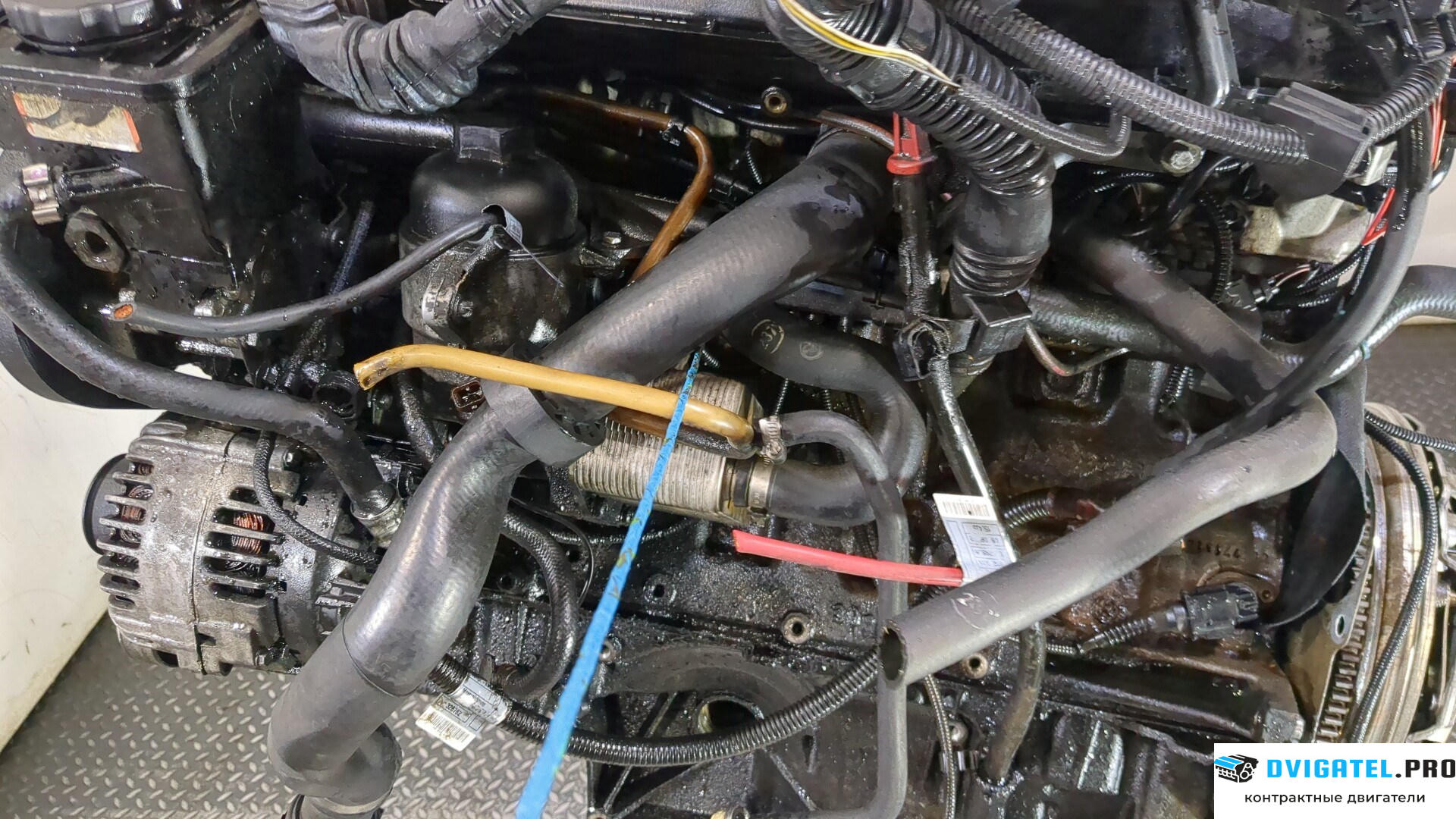 Двигатель BMW 3 E46 1998 - 2005 30 6D 1 3 л., Дизель, Турбо, артикул 9245644